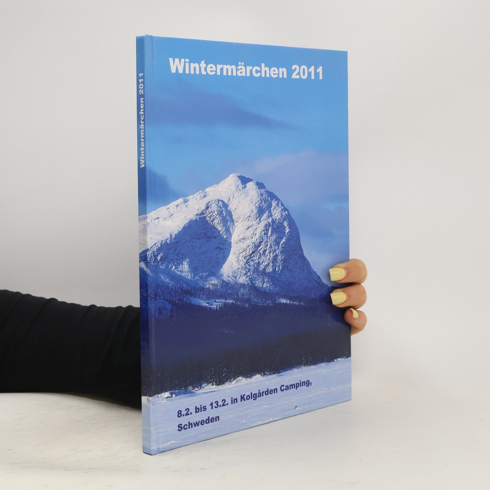 AA.VV. Wintermärchen 2011