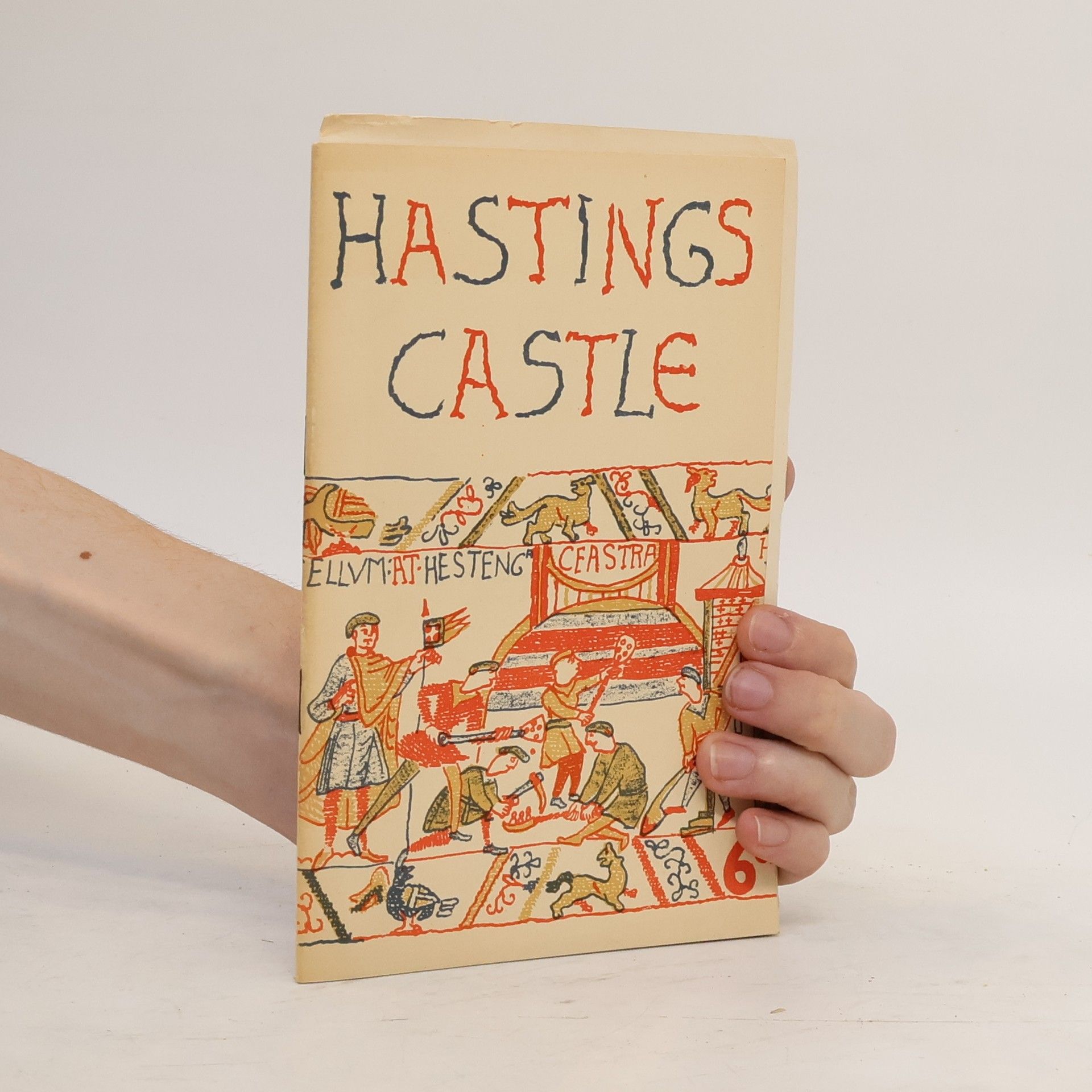 Autores varios Hastings Castle