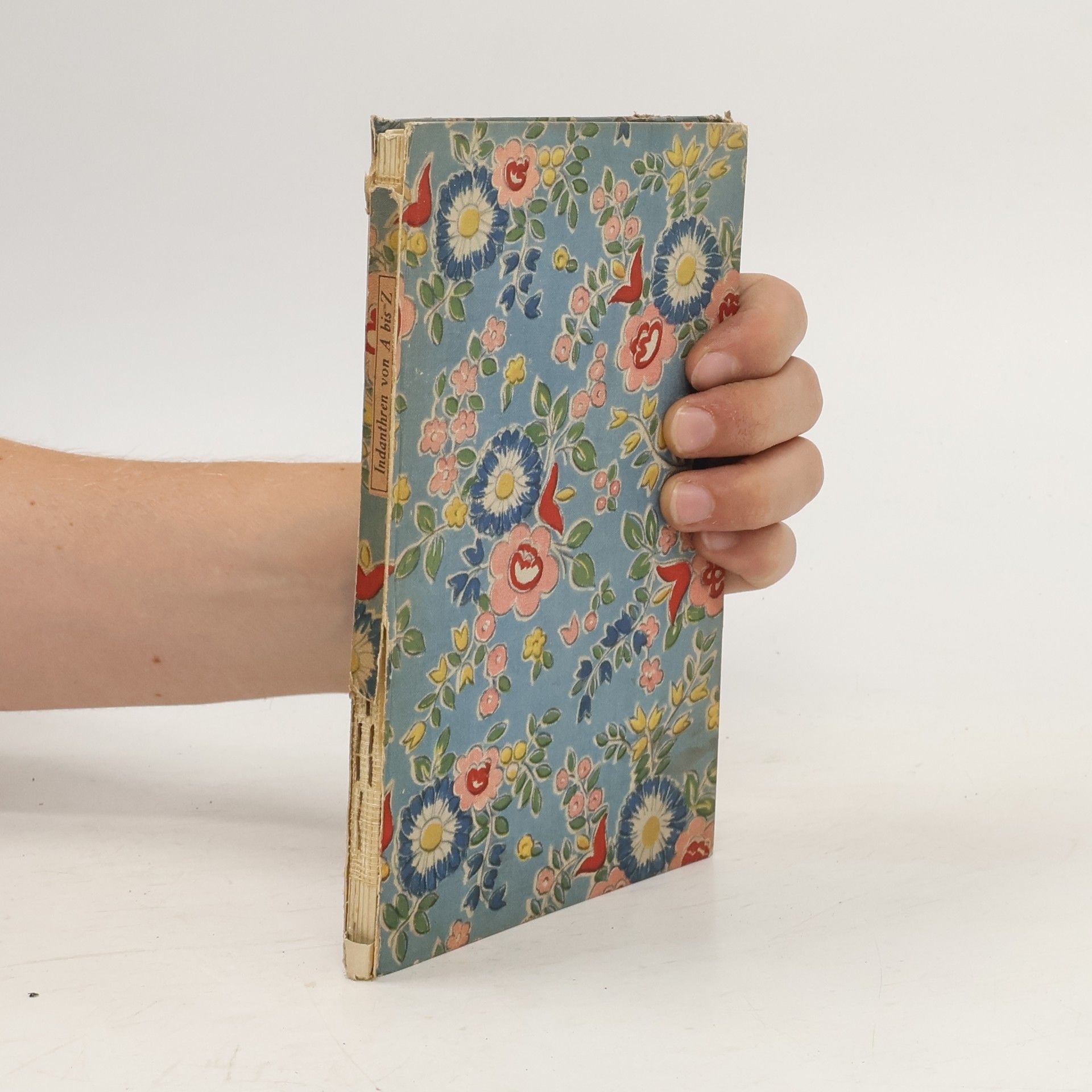 Auteurscollectief Indanthren von A bis Z