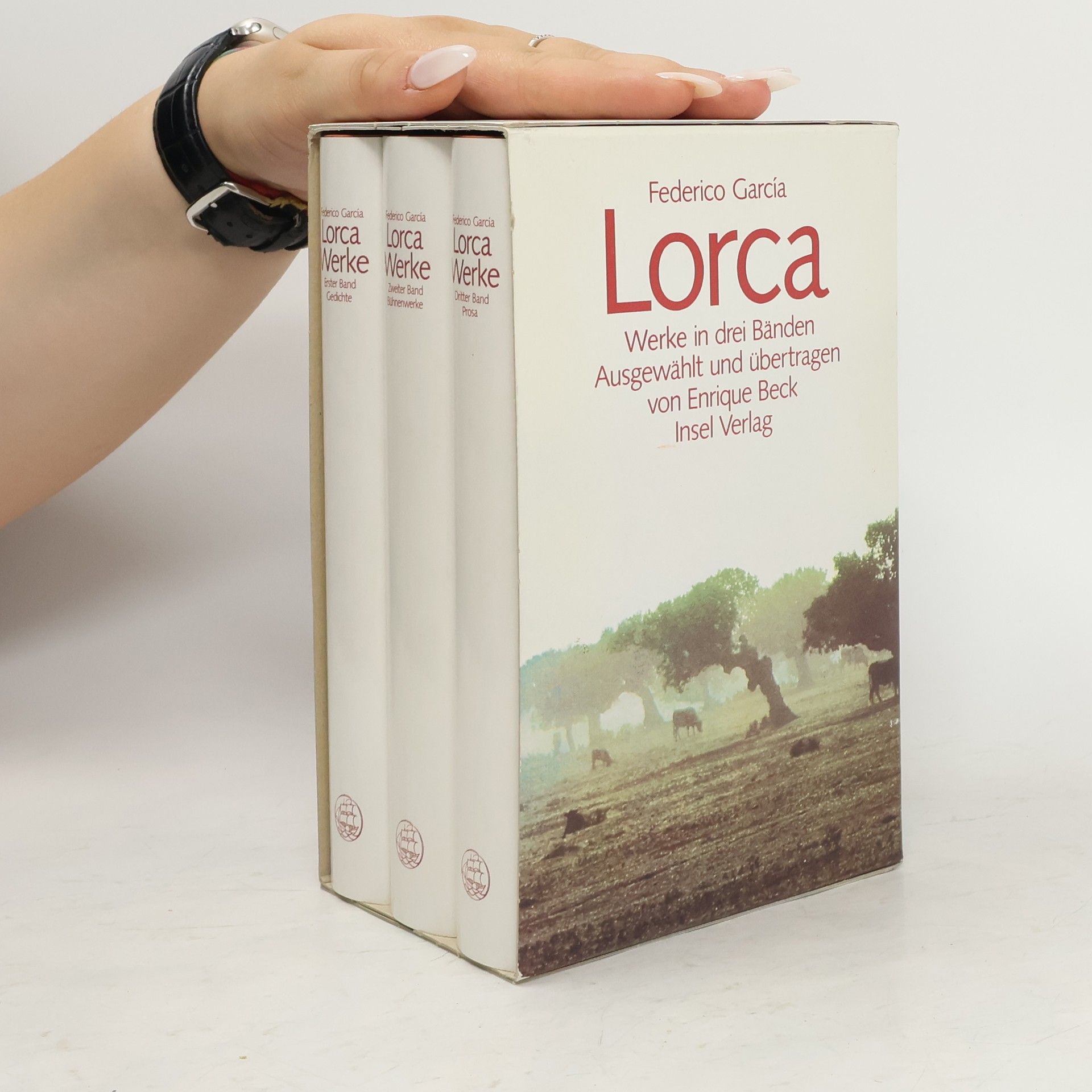Federico García Lorca Werke in drei Bänden