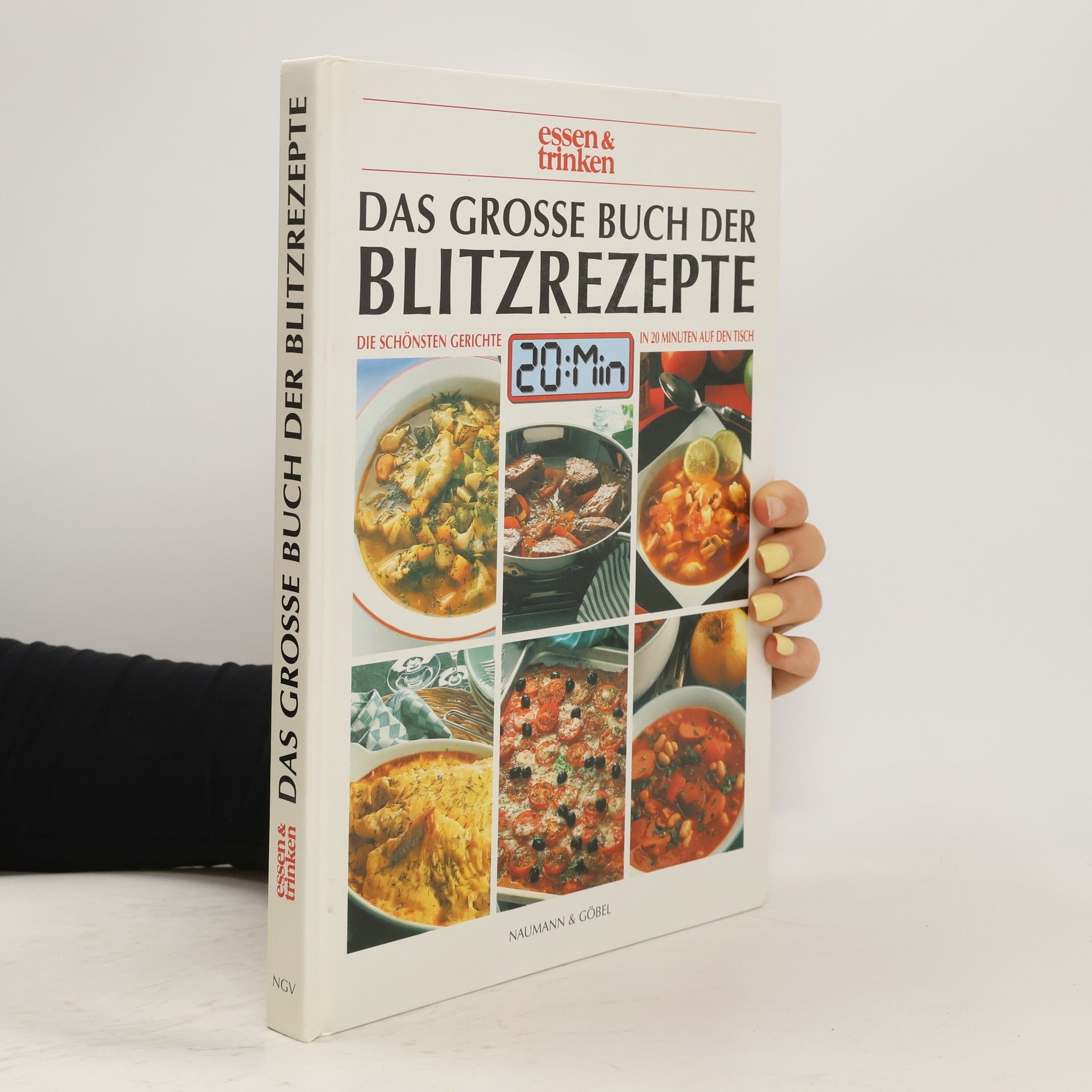 Autorenkollektiv Das Grosse Buch Der Blitzrezepte