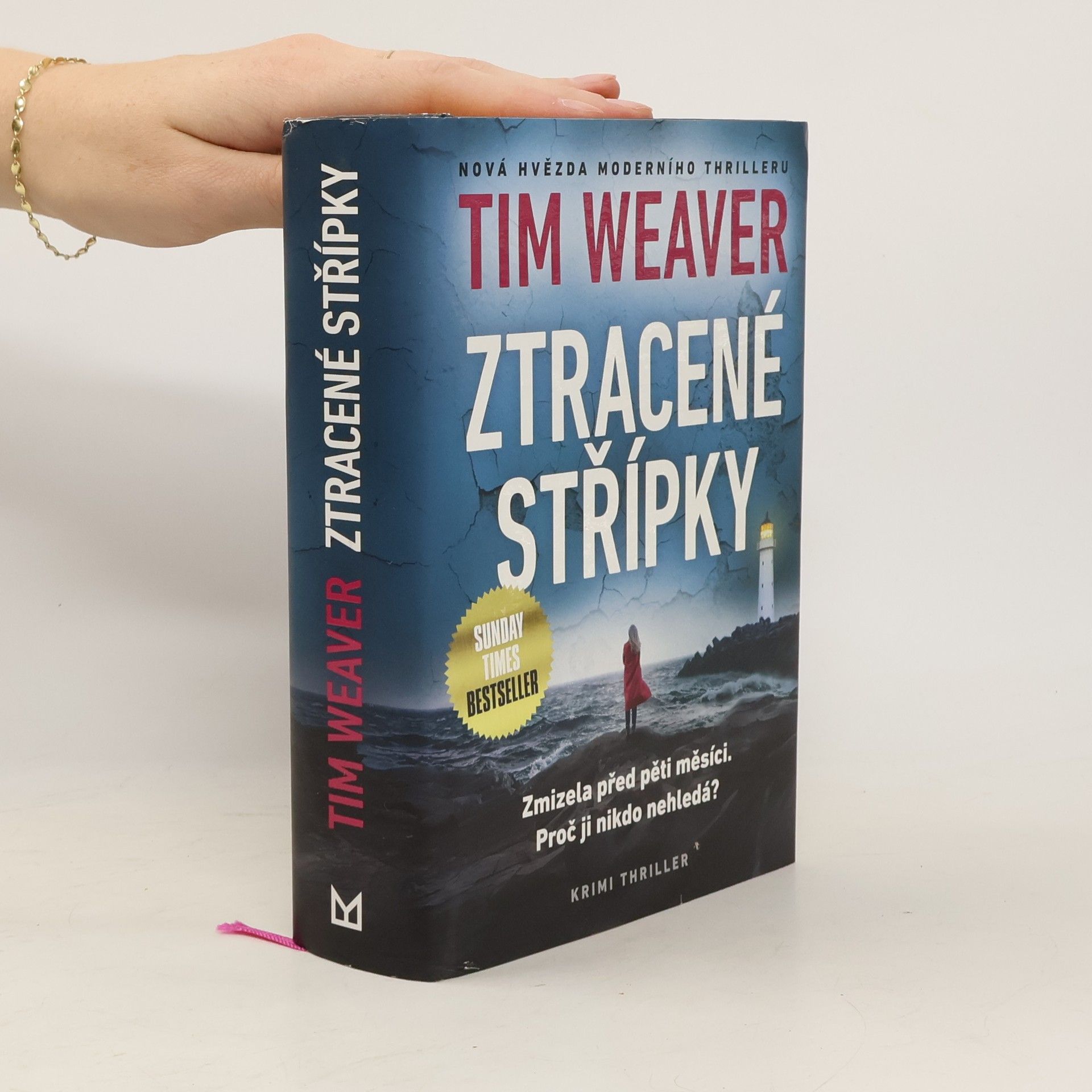 Tim Weaver Ztracené střípky