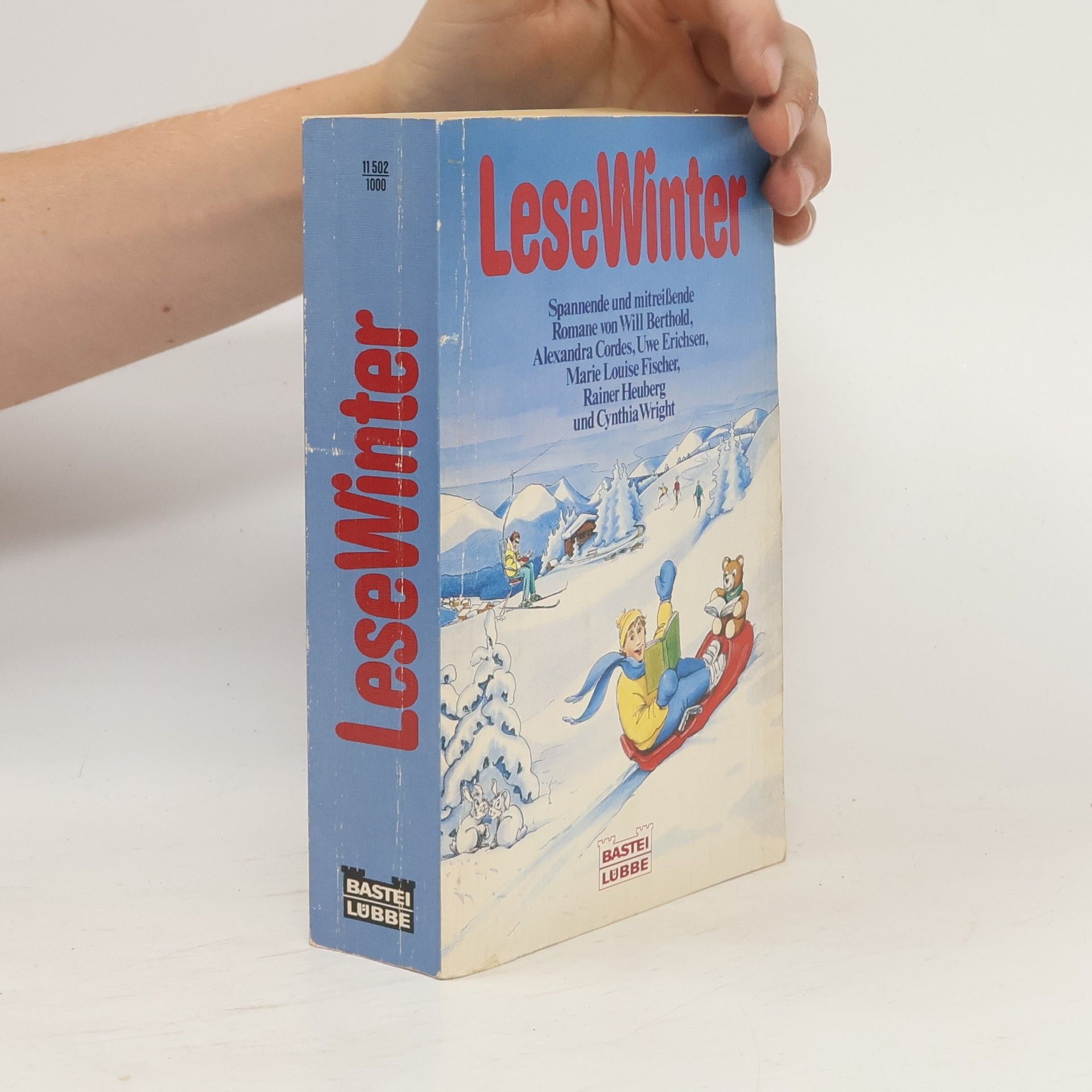 Collectif d'auteurs Lesewinter