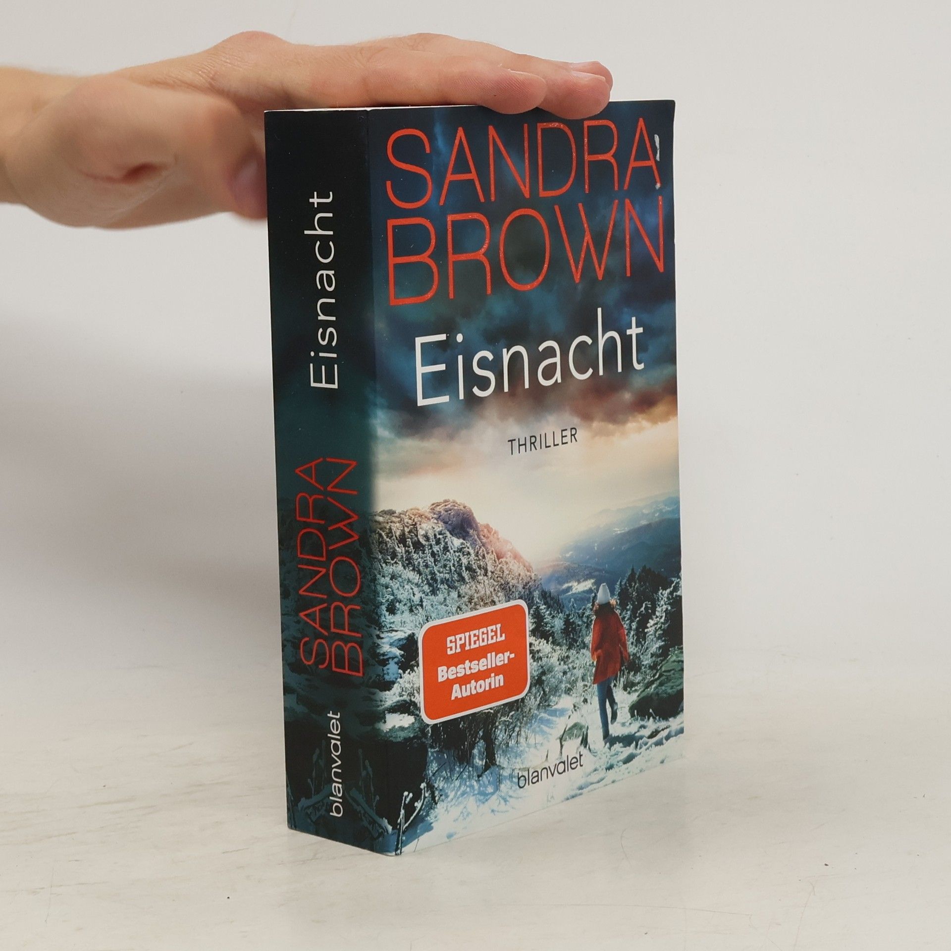 Sandra Brown Eisnacht