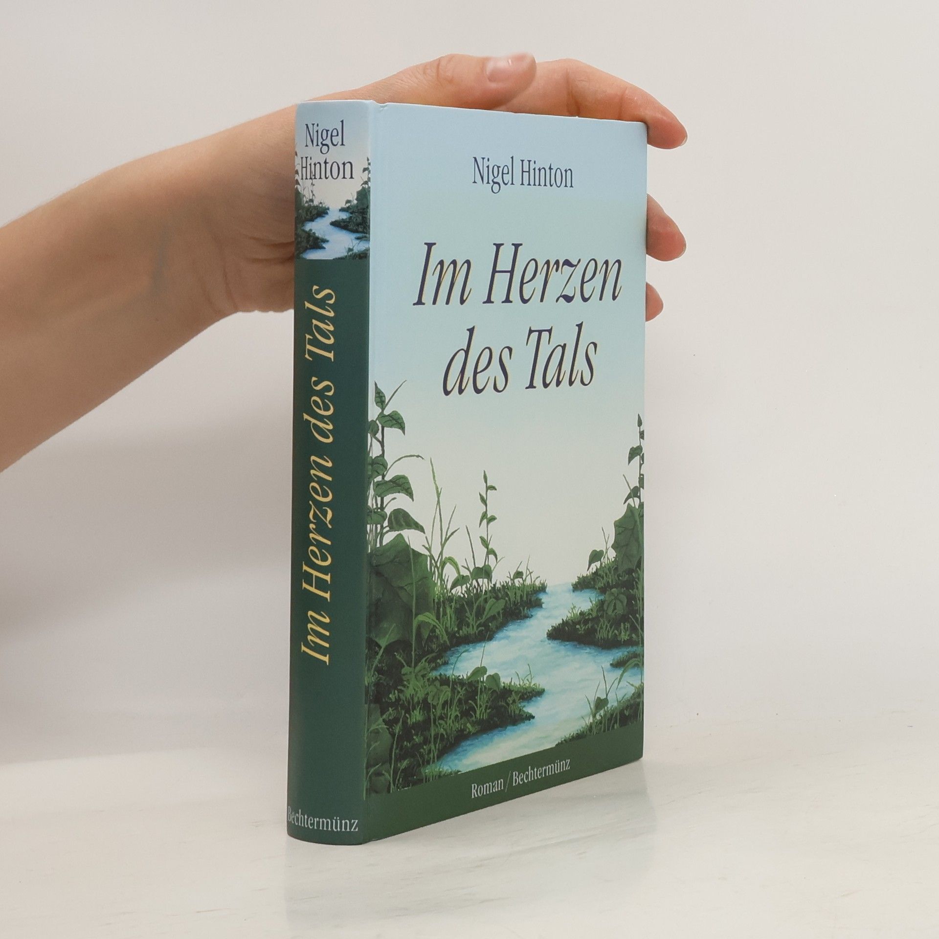 Nigel Hinton Im Tal des Herzens