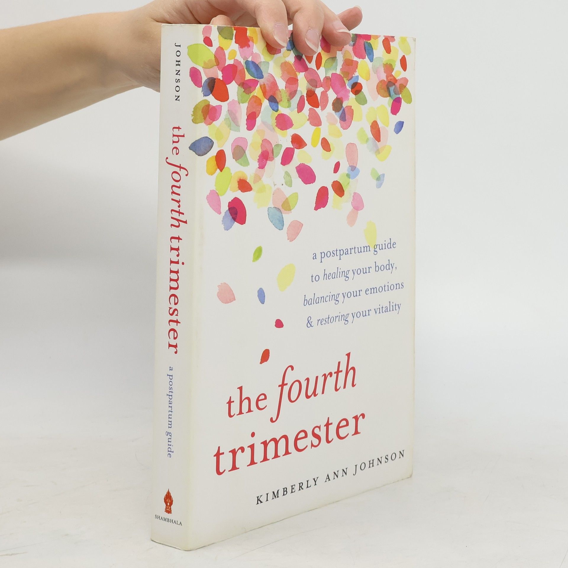 Kimberly Ann Johnson The fourth trimester