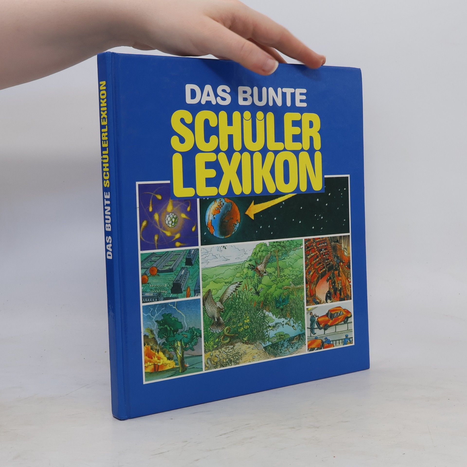 Simone Lamblin Das Bunte Schülerlexikon