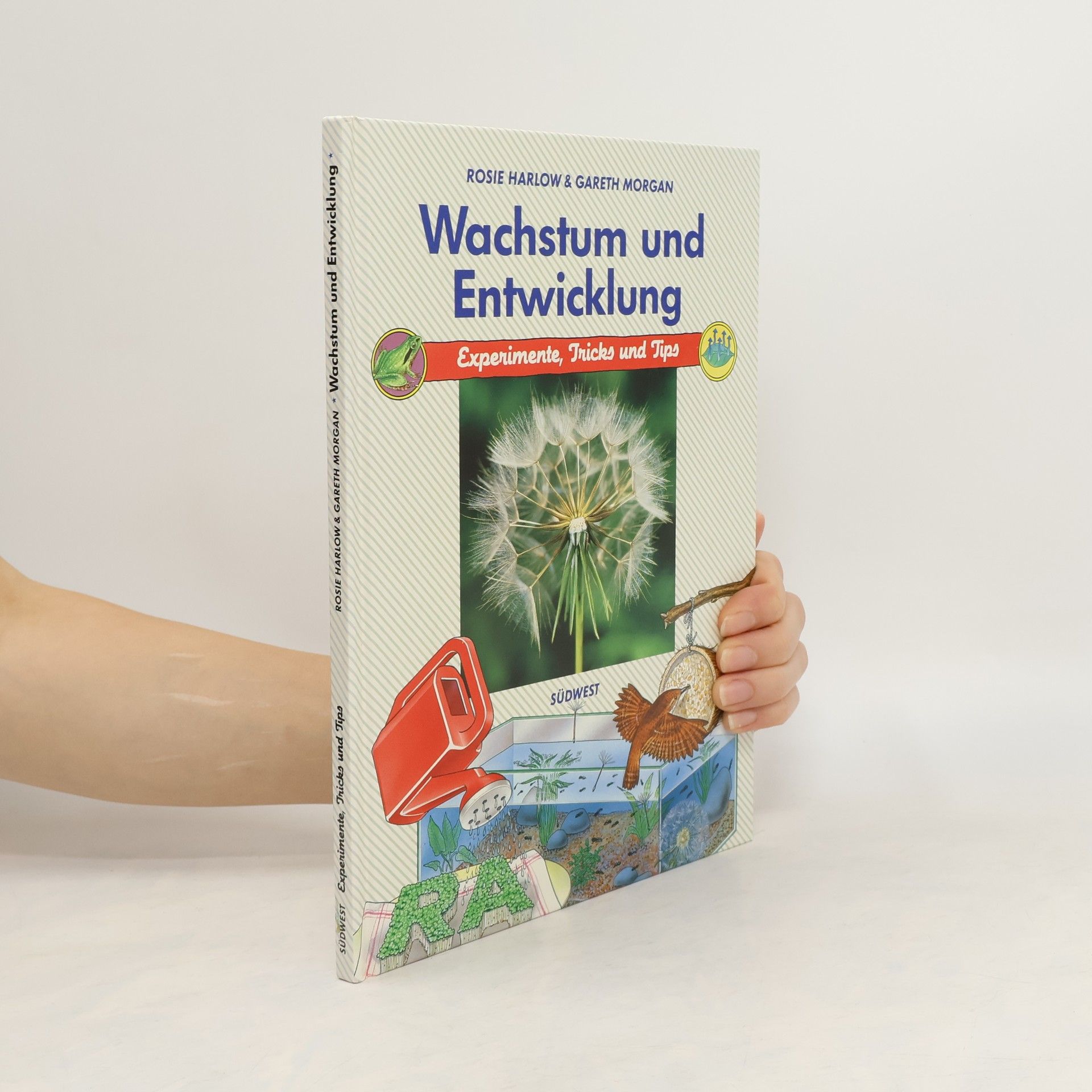 Gareth Morgan Wachstum und Entwicklung