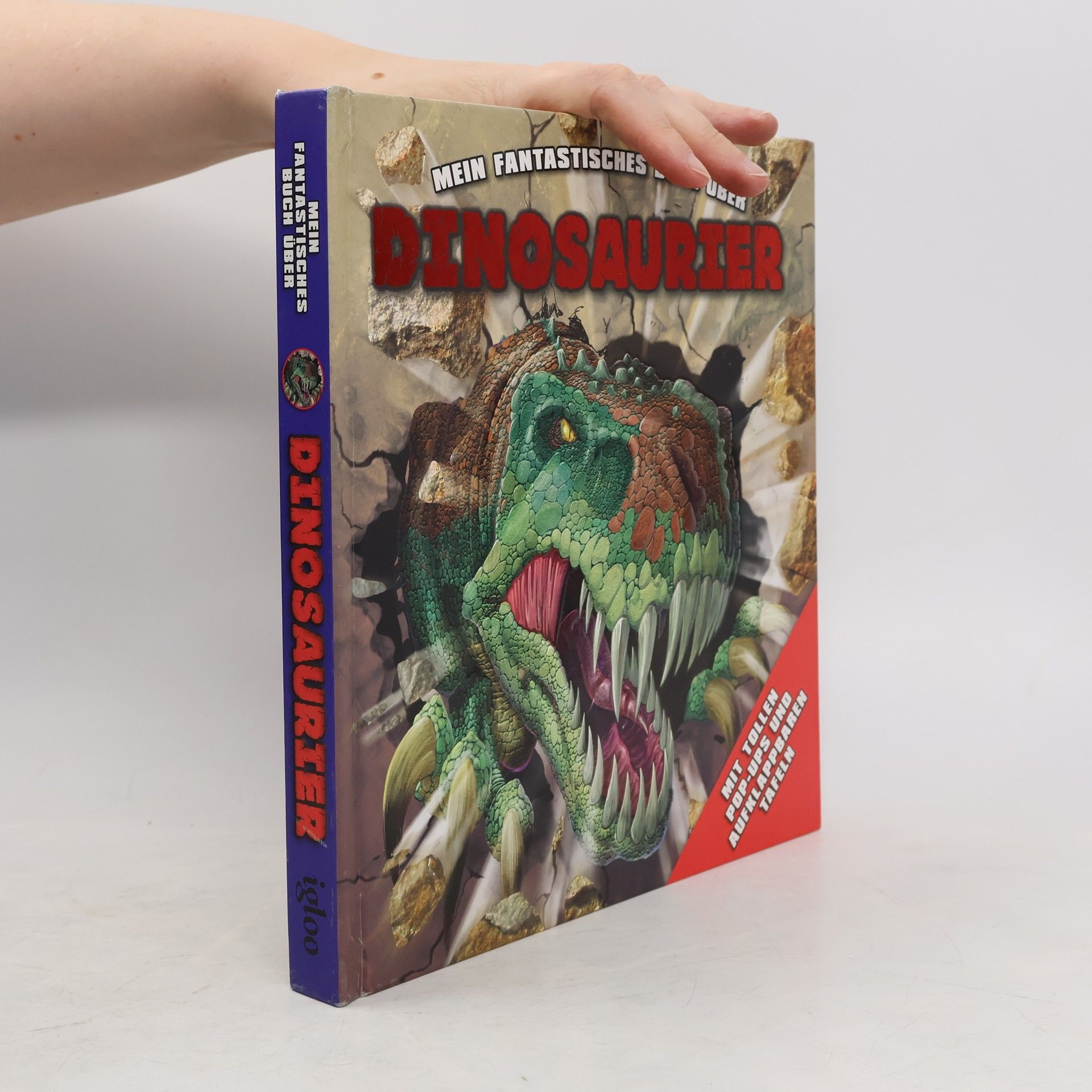 Collective Mein fantastisches Buch über Dinosaurier