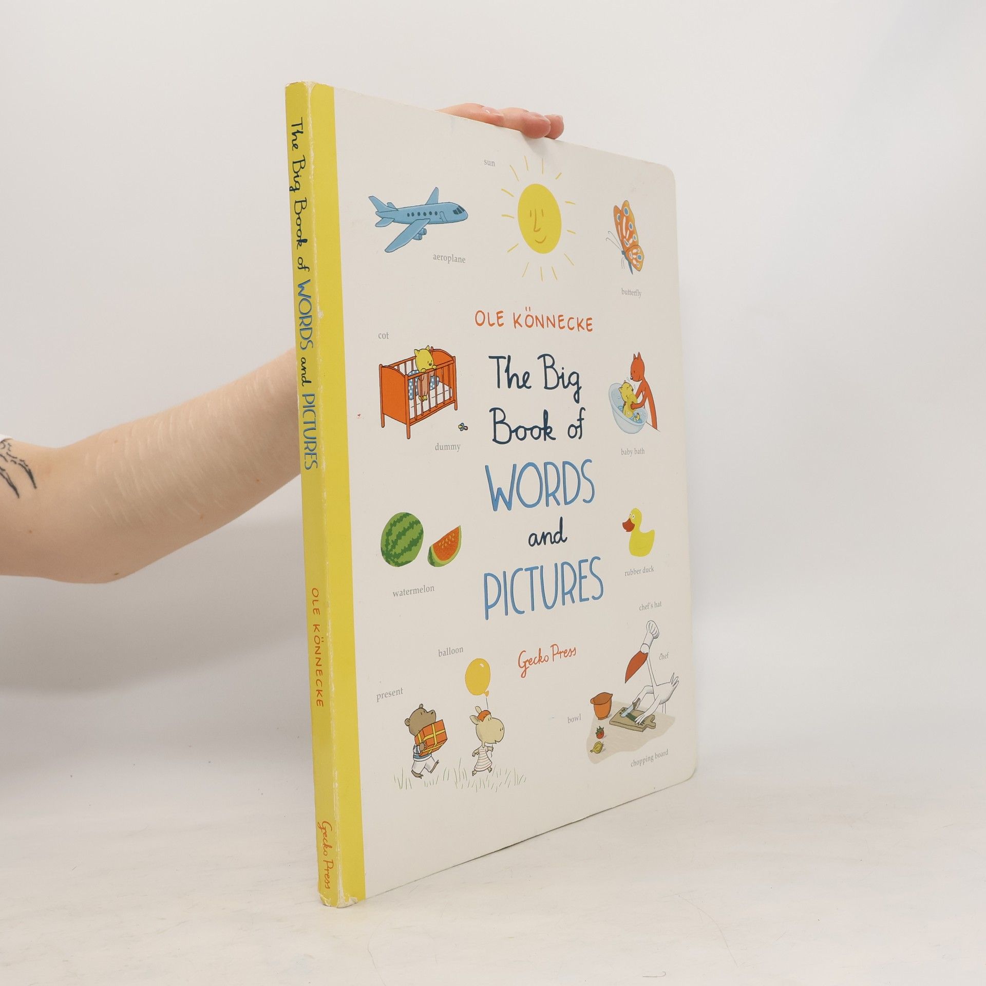 Ole Könnecke The Big Book Of Words and Pictures