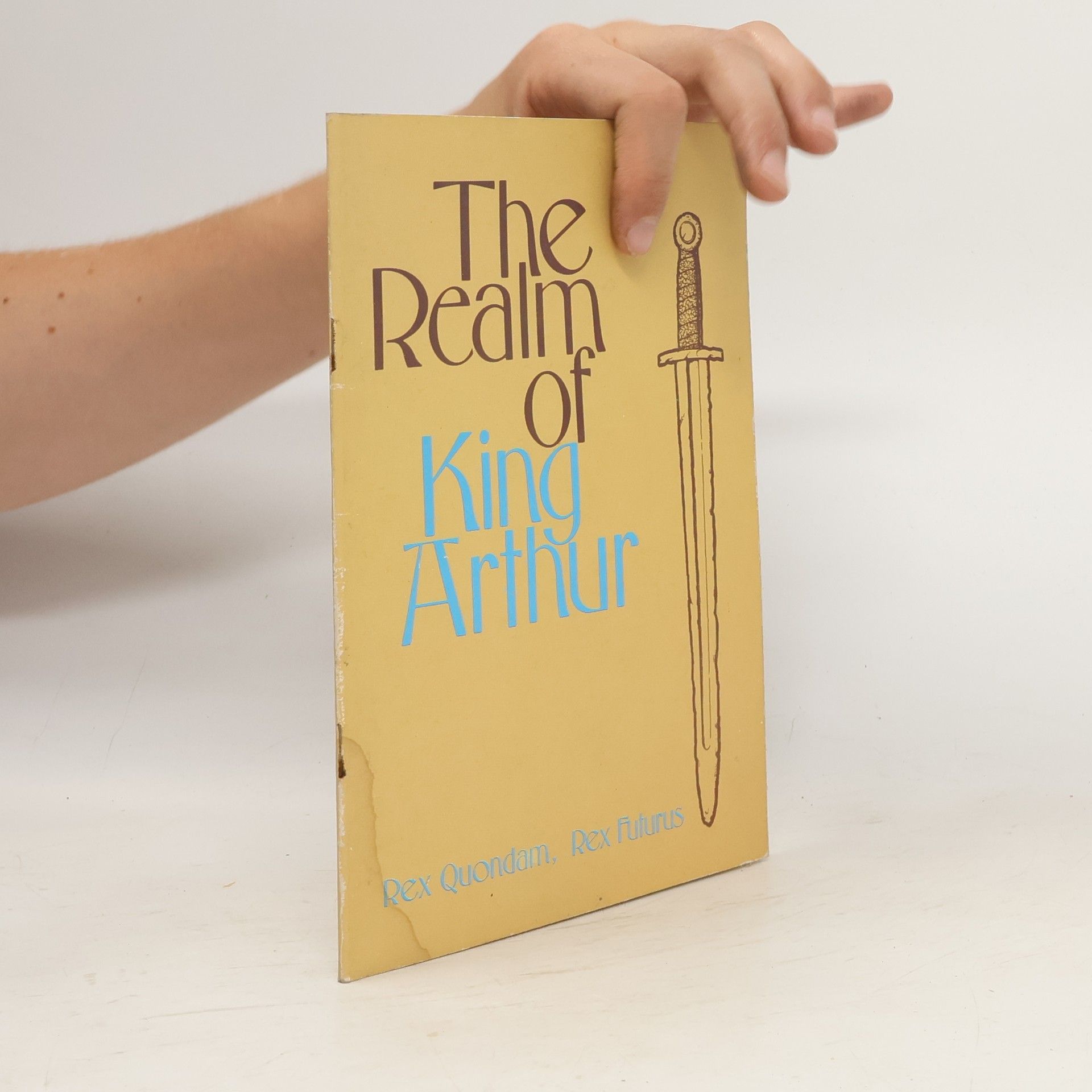 Graham Ashton The Realm of King Arthur