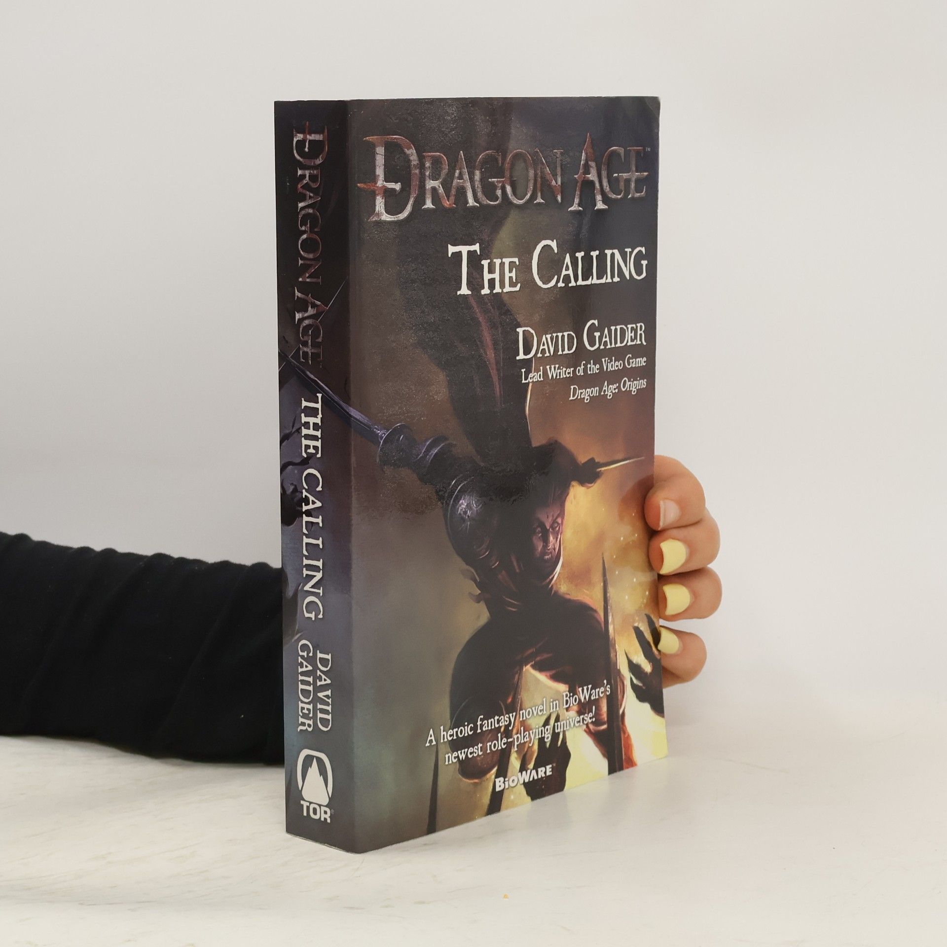 David Gaider Dragon Age: The Calling