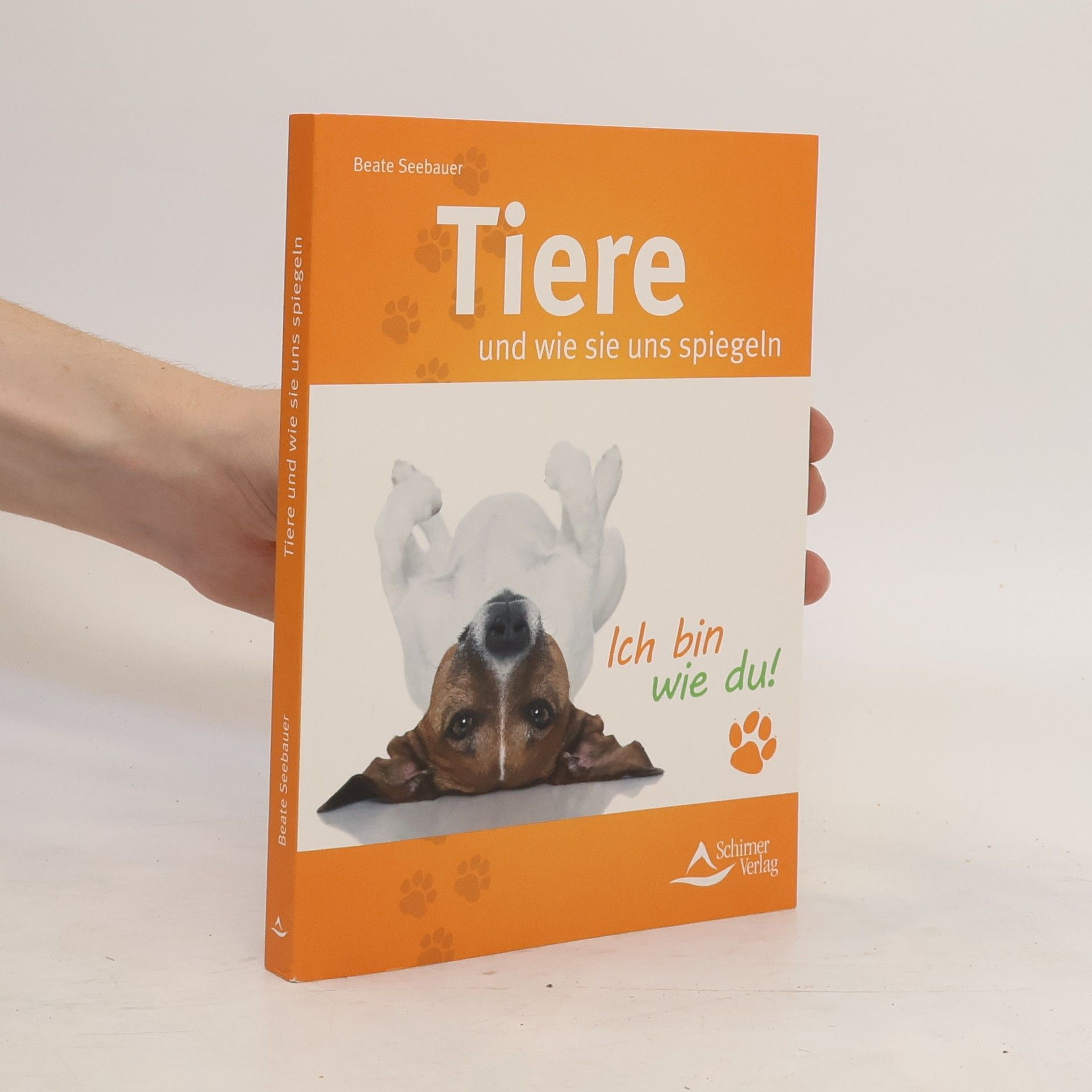 Beate Seebauer Tiere und wie sie uns spiegeln