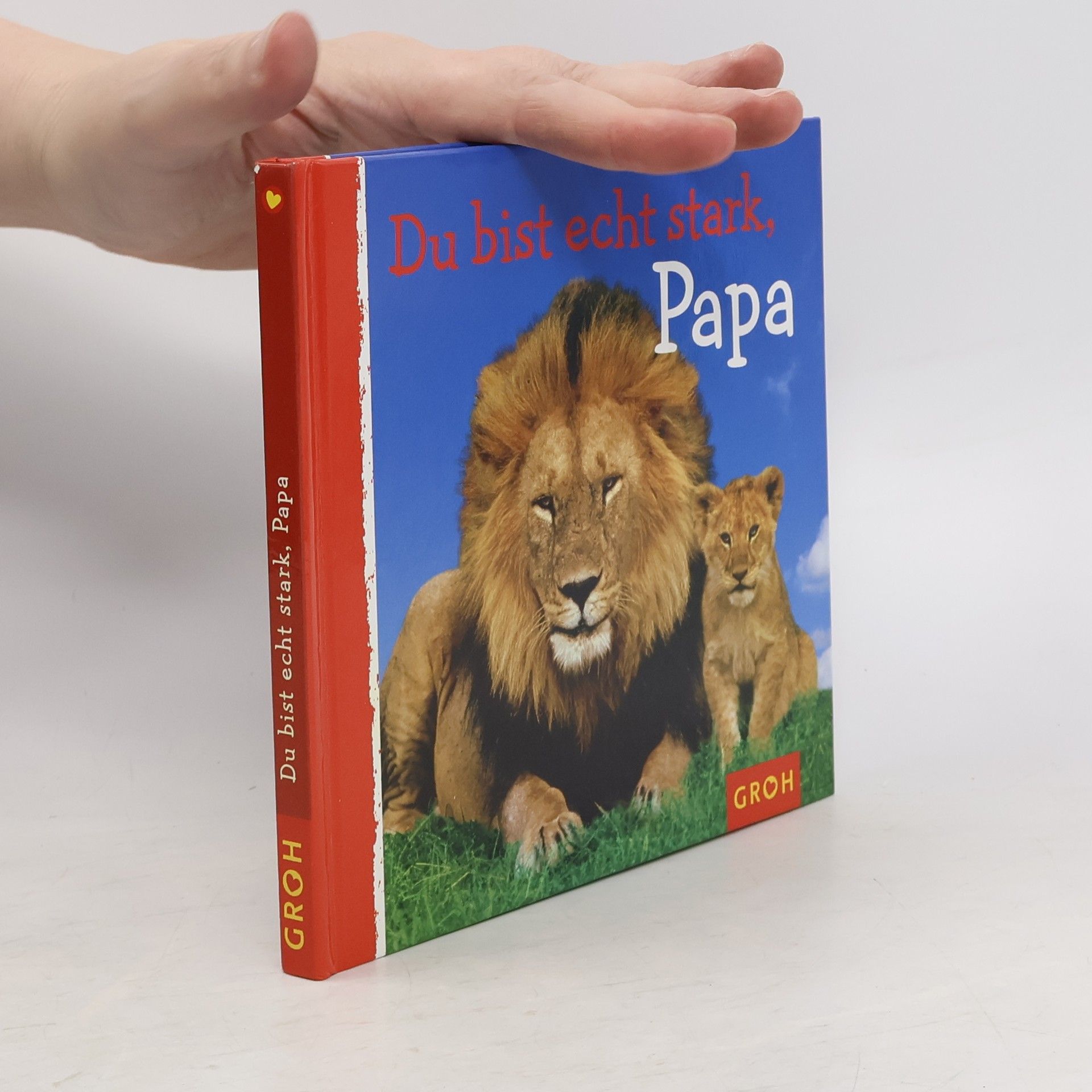 Autorenkollektiv Du bist echt stark, Papa