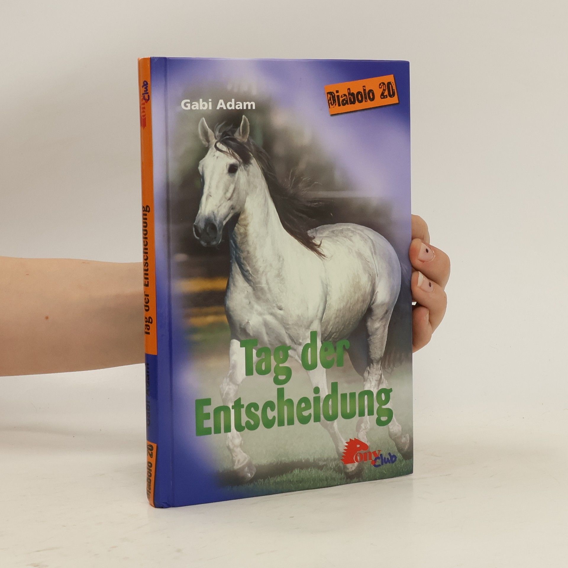 Gabi Adam Diabolo 20. Tag der Entscheidung