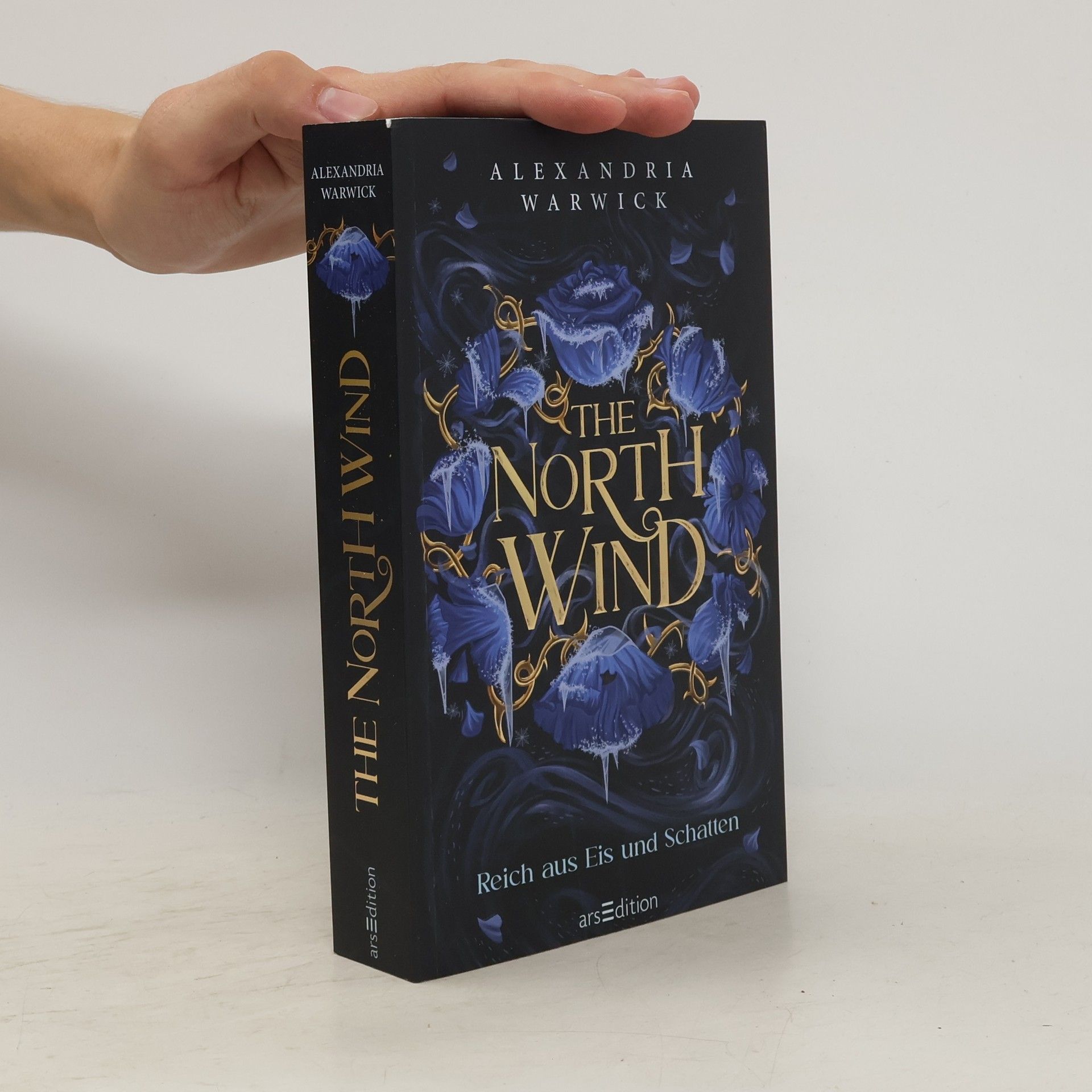 Alexandria Warwick The North Wind - Reich aus Eis und Schatten