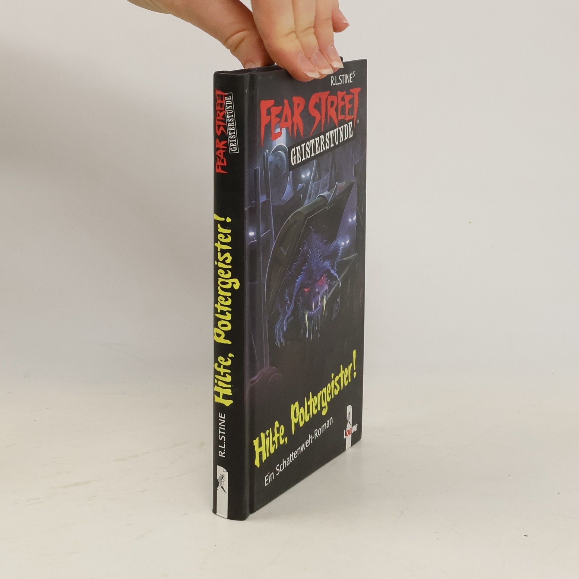 R. L. Stine Hilfe, Poltergeister!