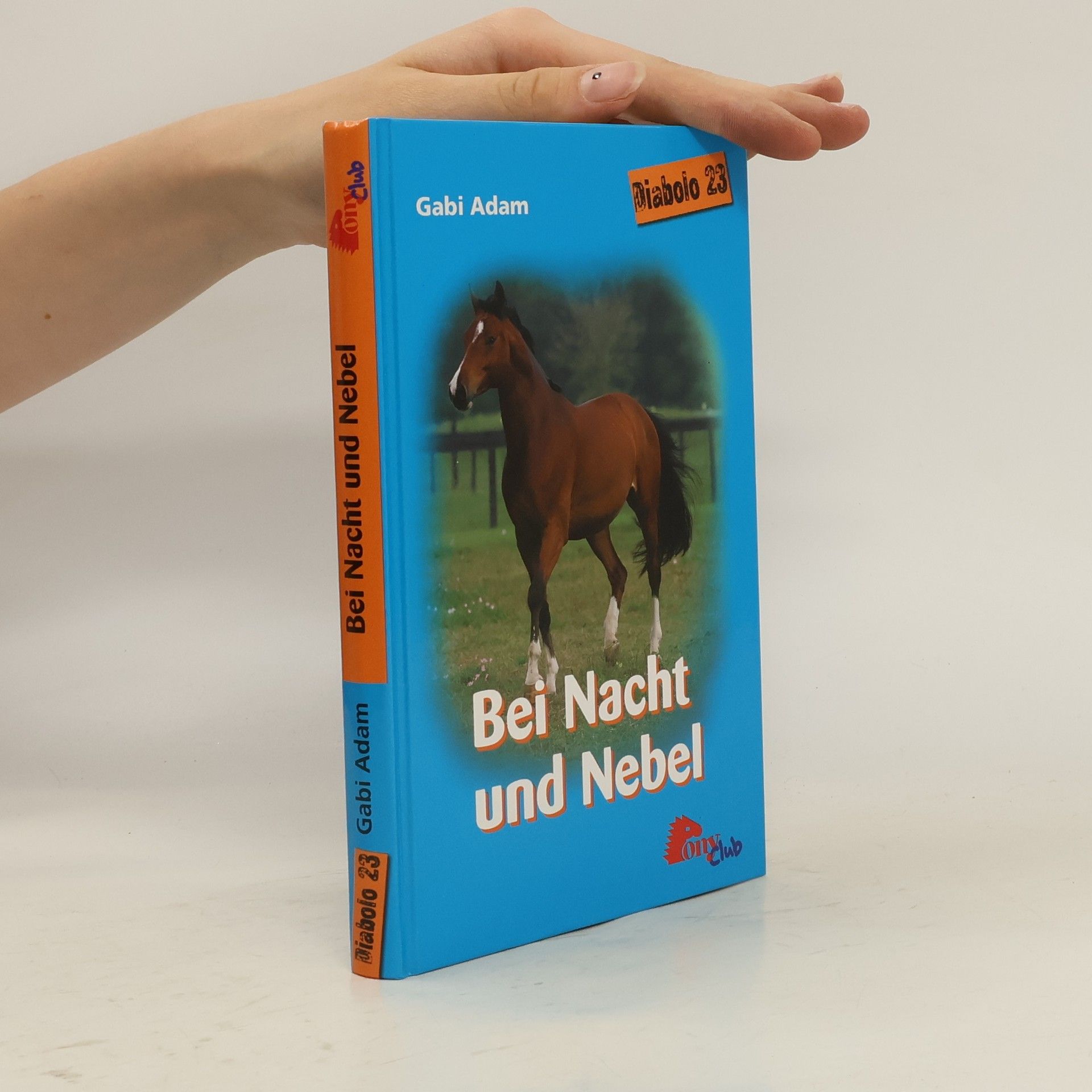 Gabi Adam Bei Nacht und Nebel (Diabolo #23)