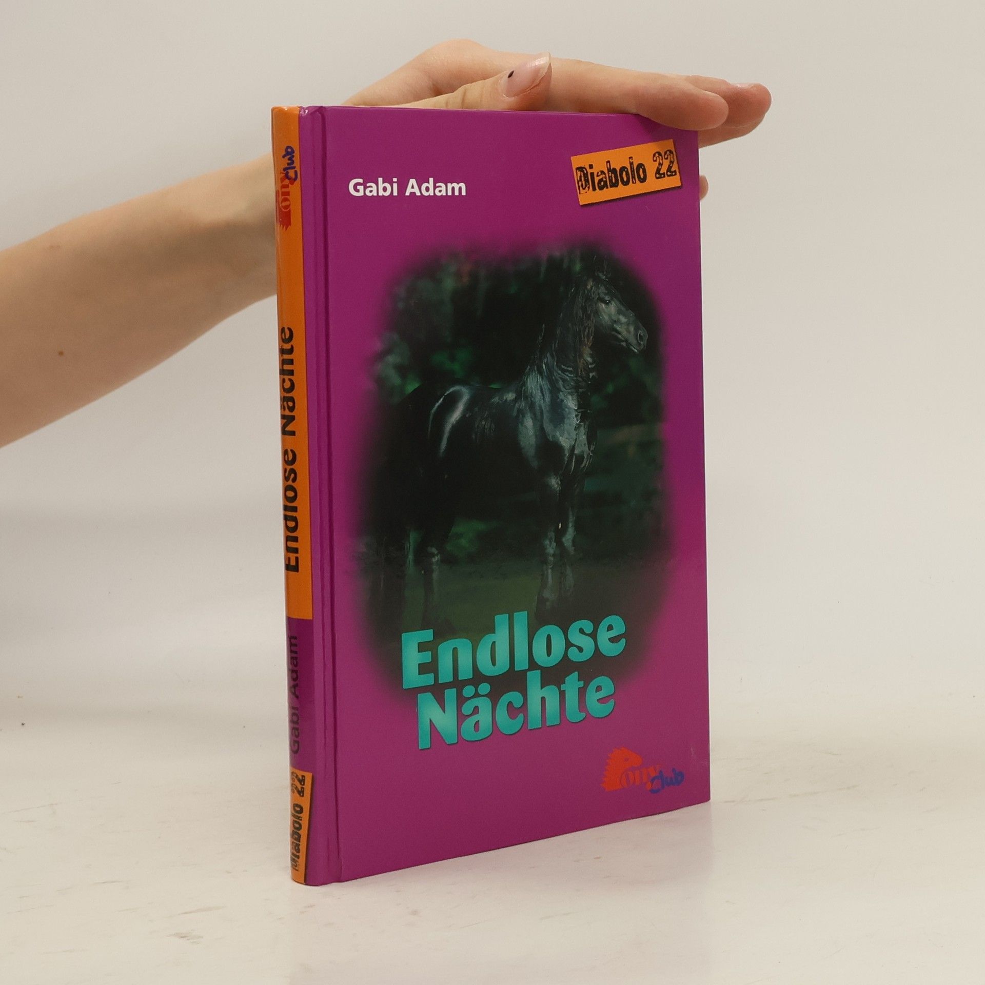 Gabi Adam Endlose Nächte (Diablo #22)