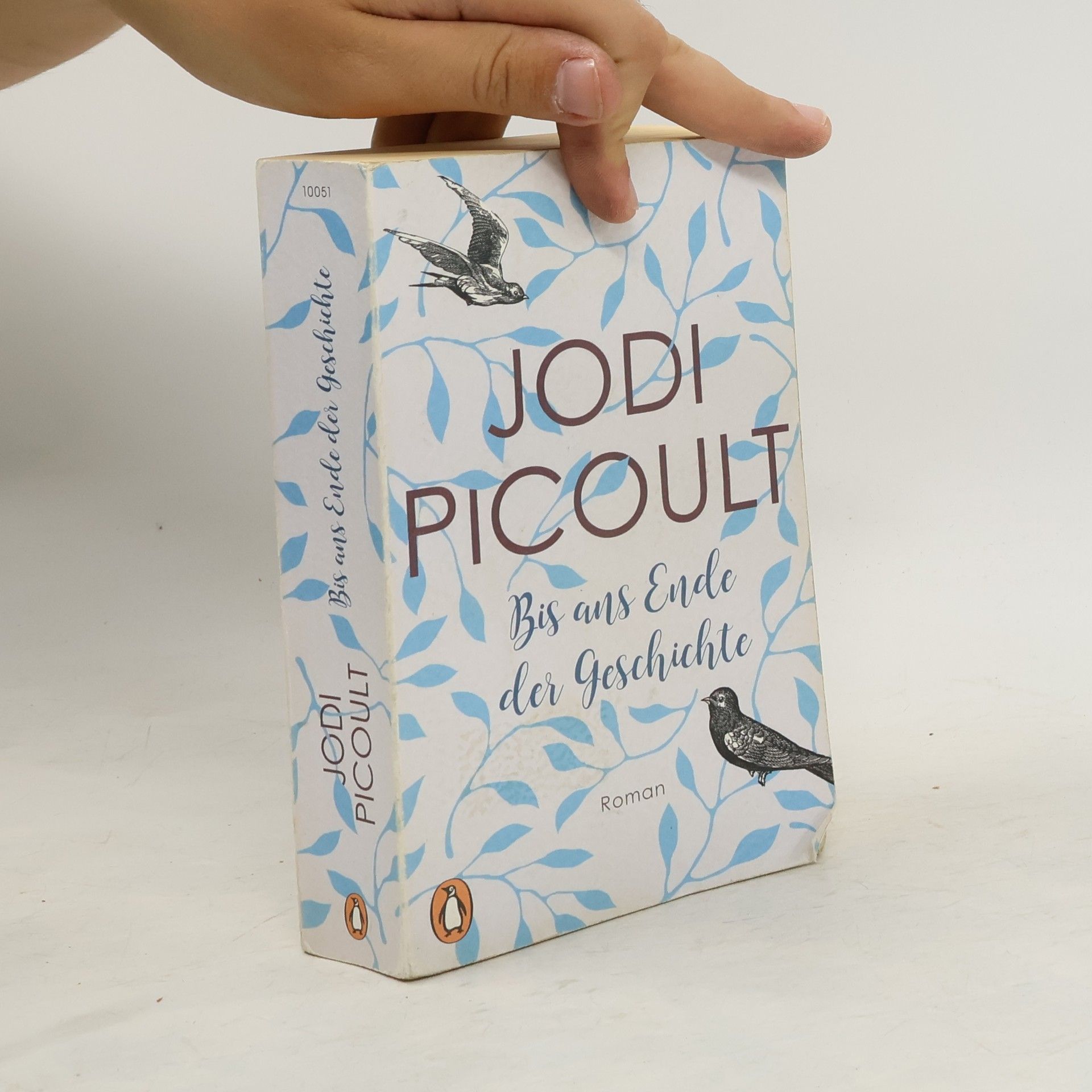 Jodi Picoult Bis ans Ende der Geschichte