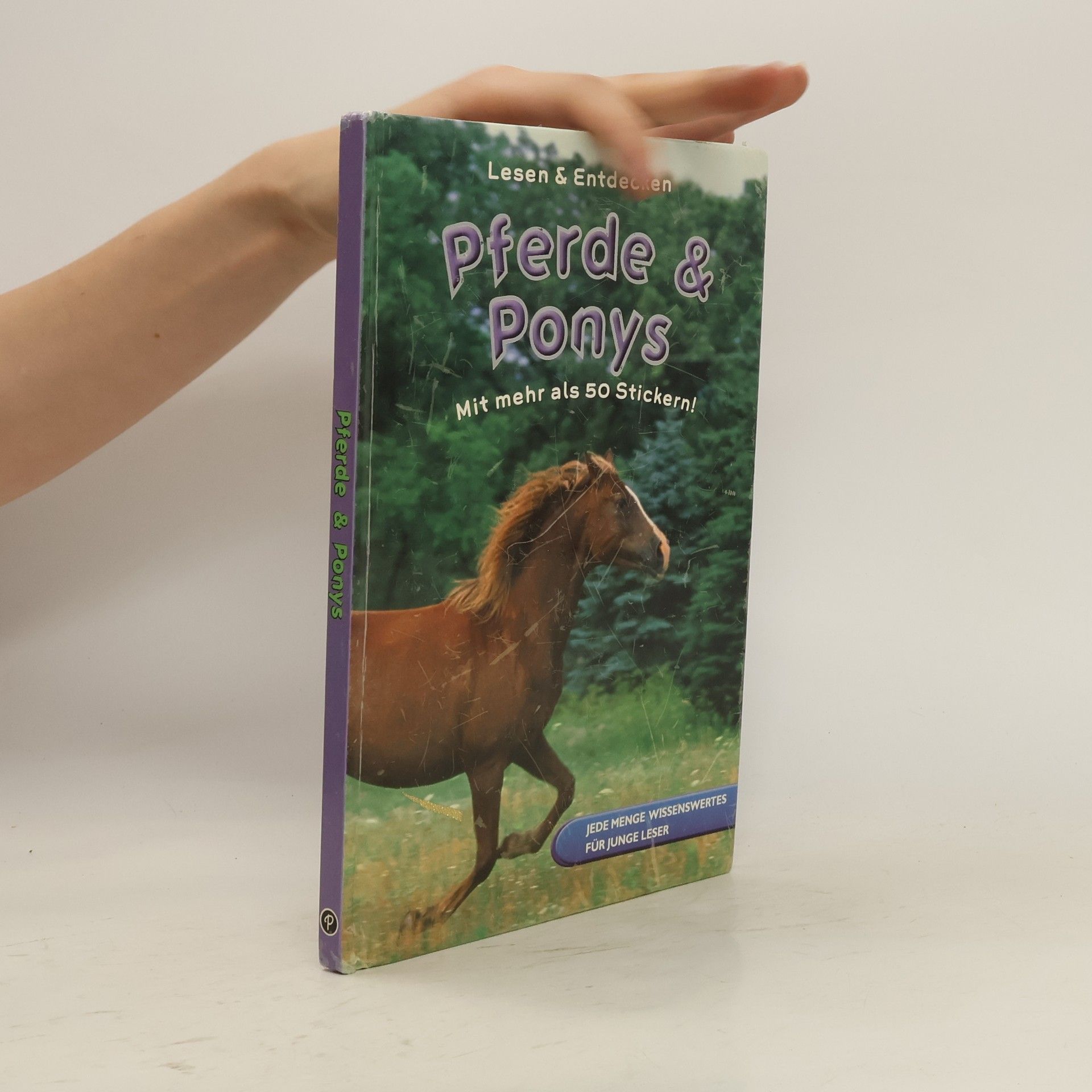 kolektiv Pferde und Ponys