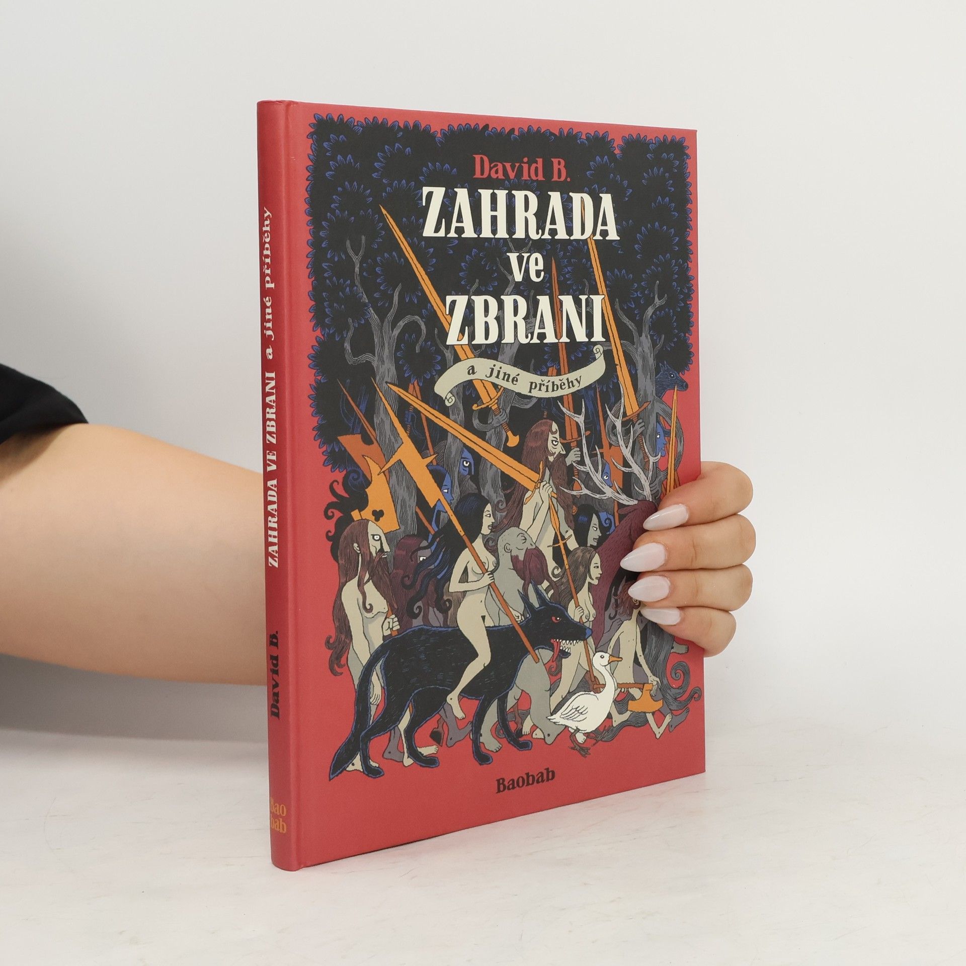 B. David Zahrada ve zbrani a jiné příběhy