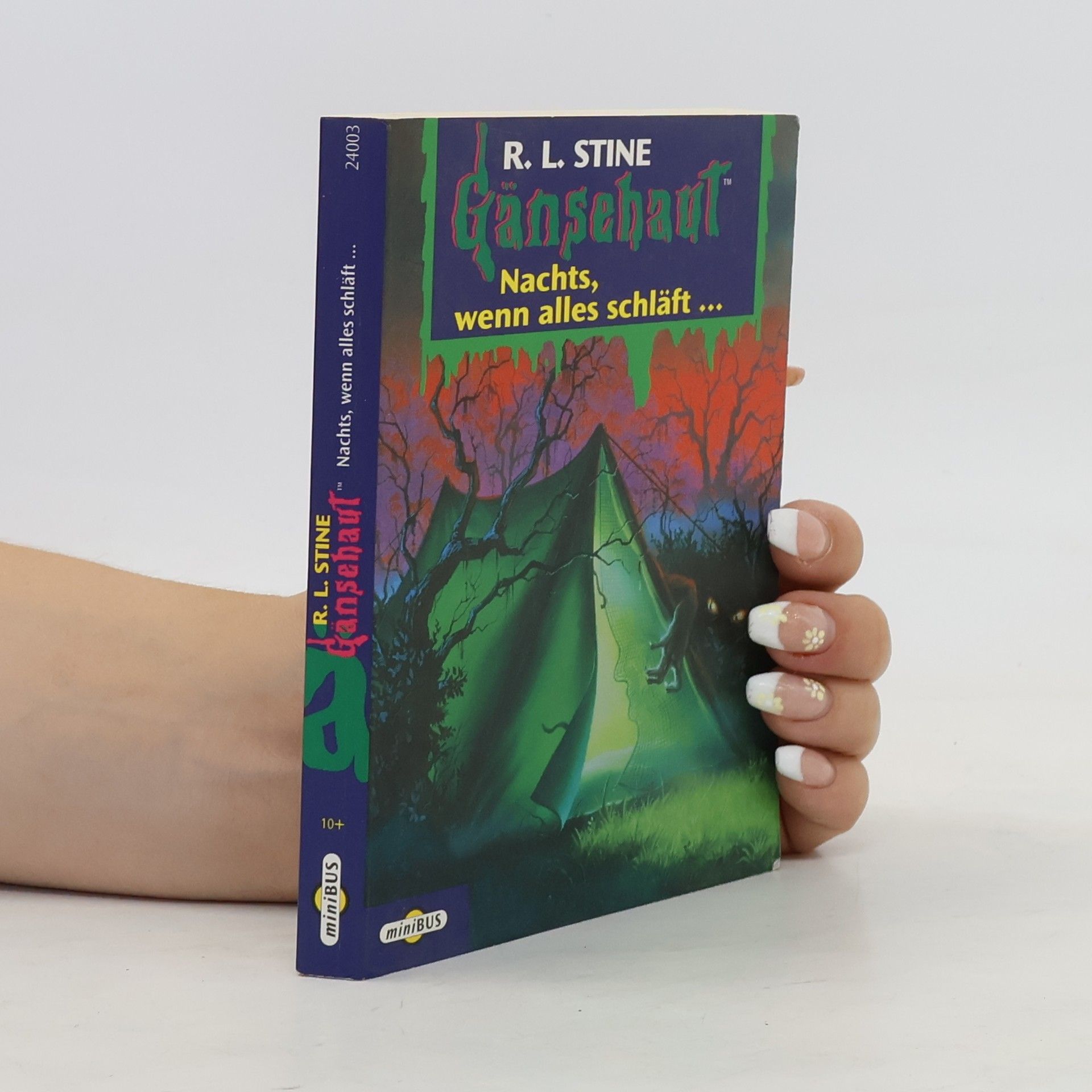 R. L. Stine Nachts, wenn alles schläft