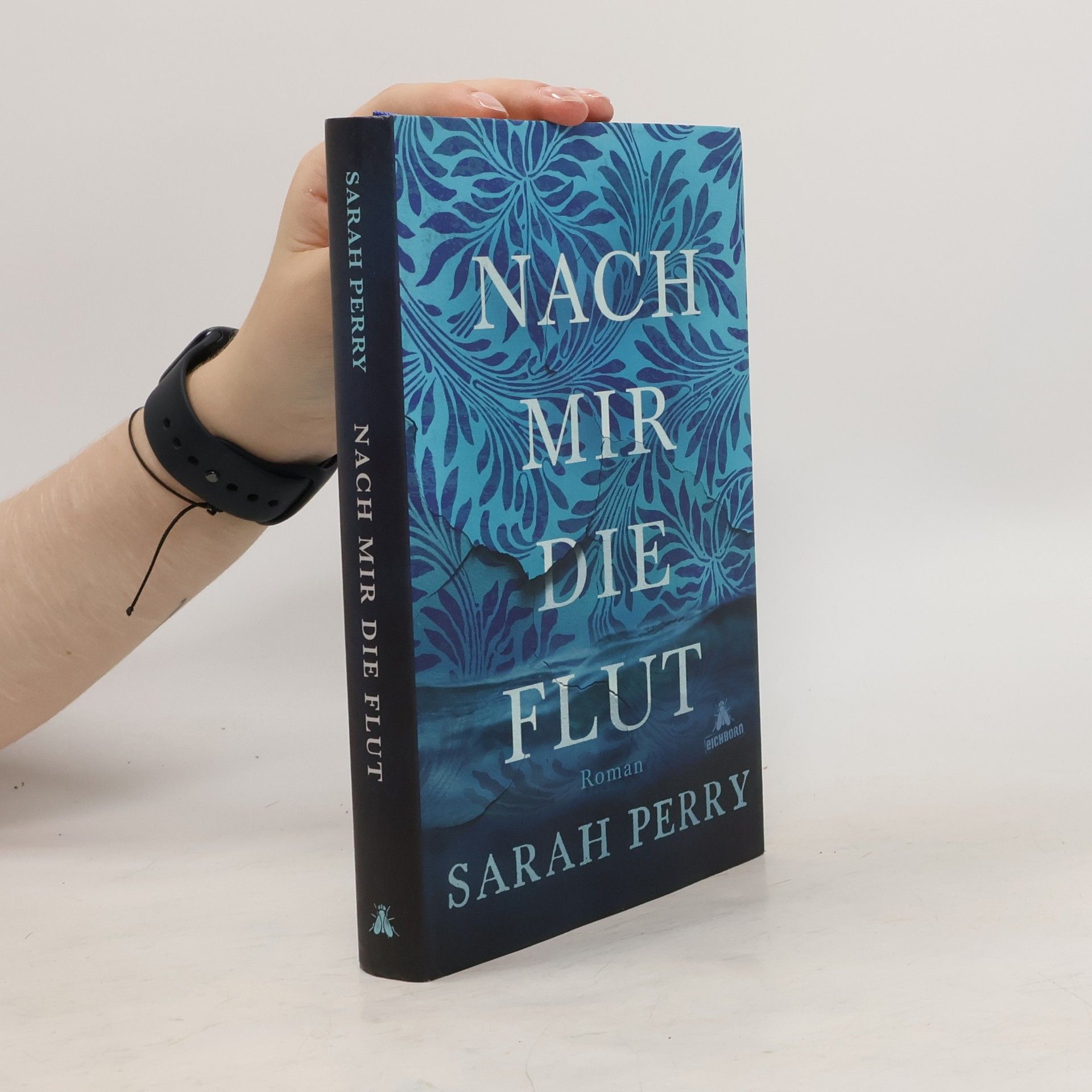 Sarah Perry Nach mir die Flut