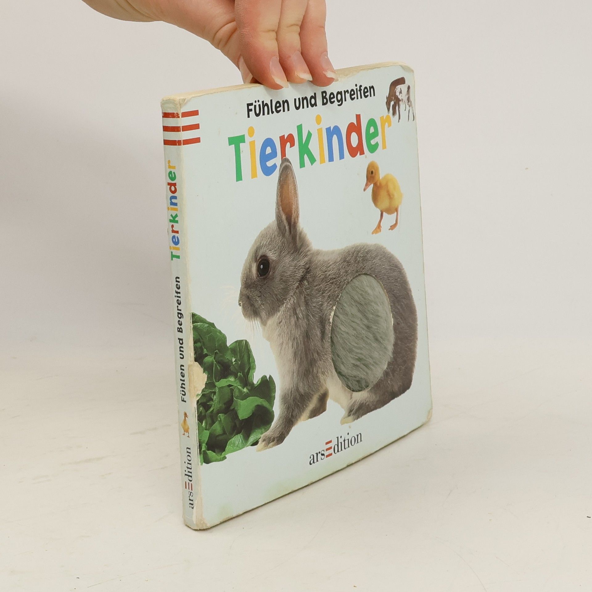 Daniela Filthaut Tierkinder