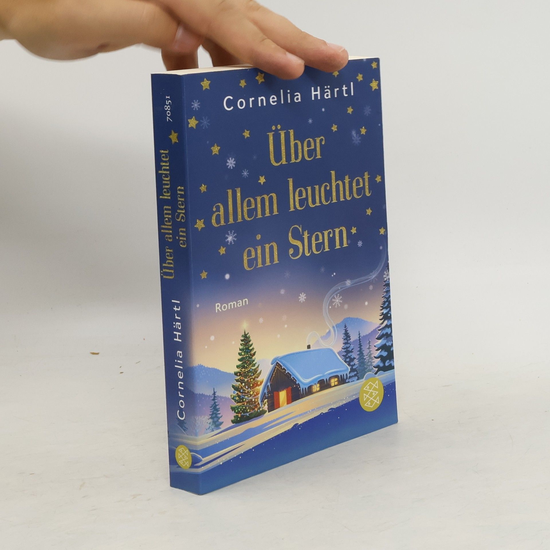 Cornelia Härtl Über allem leuchtet ein Stern