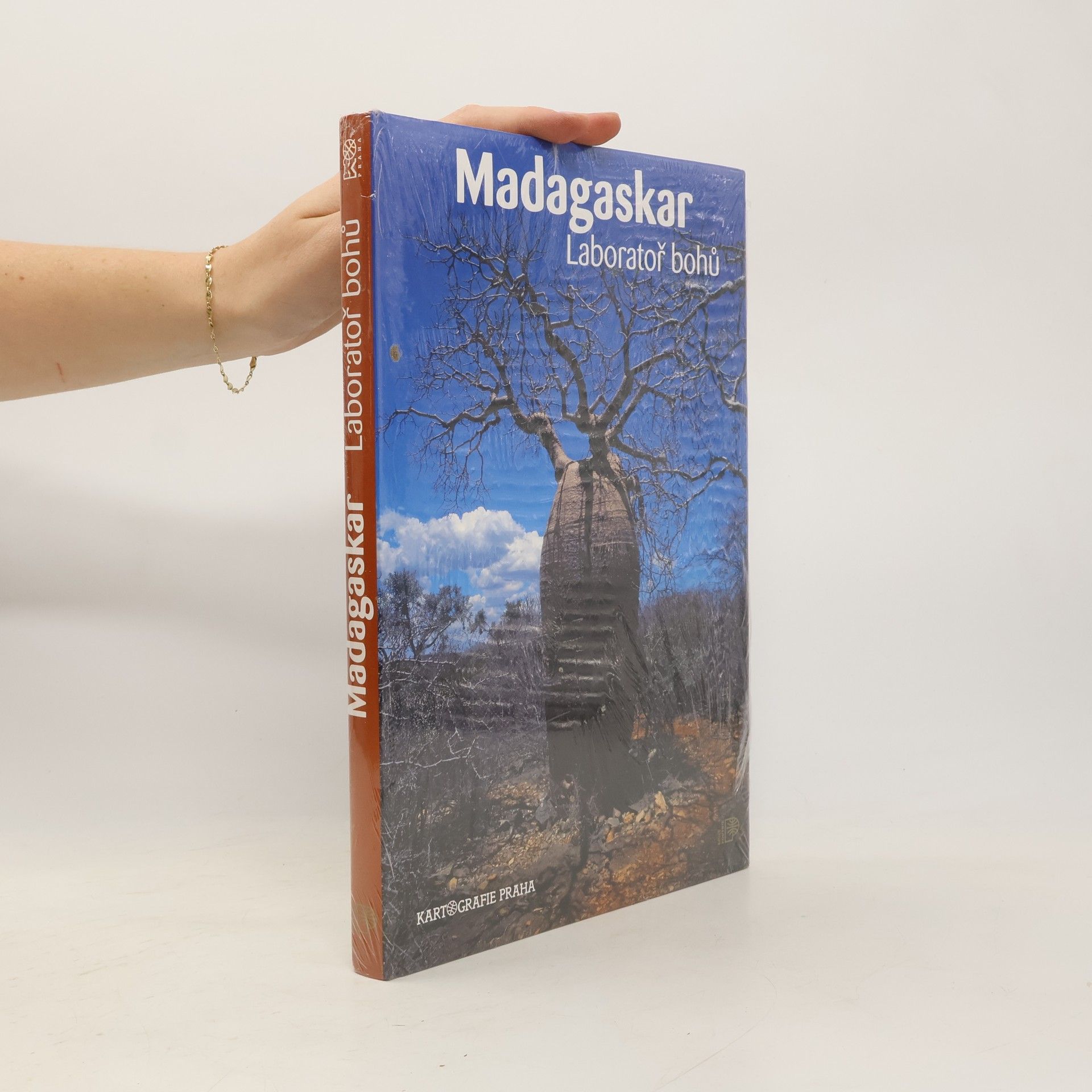Růžena BeandapaKytlová Madagaskar : laboratoř bohů