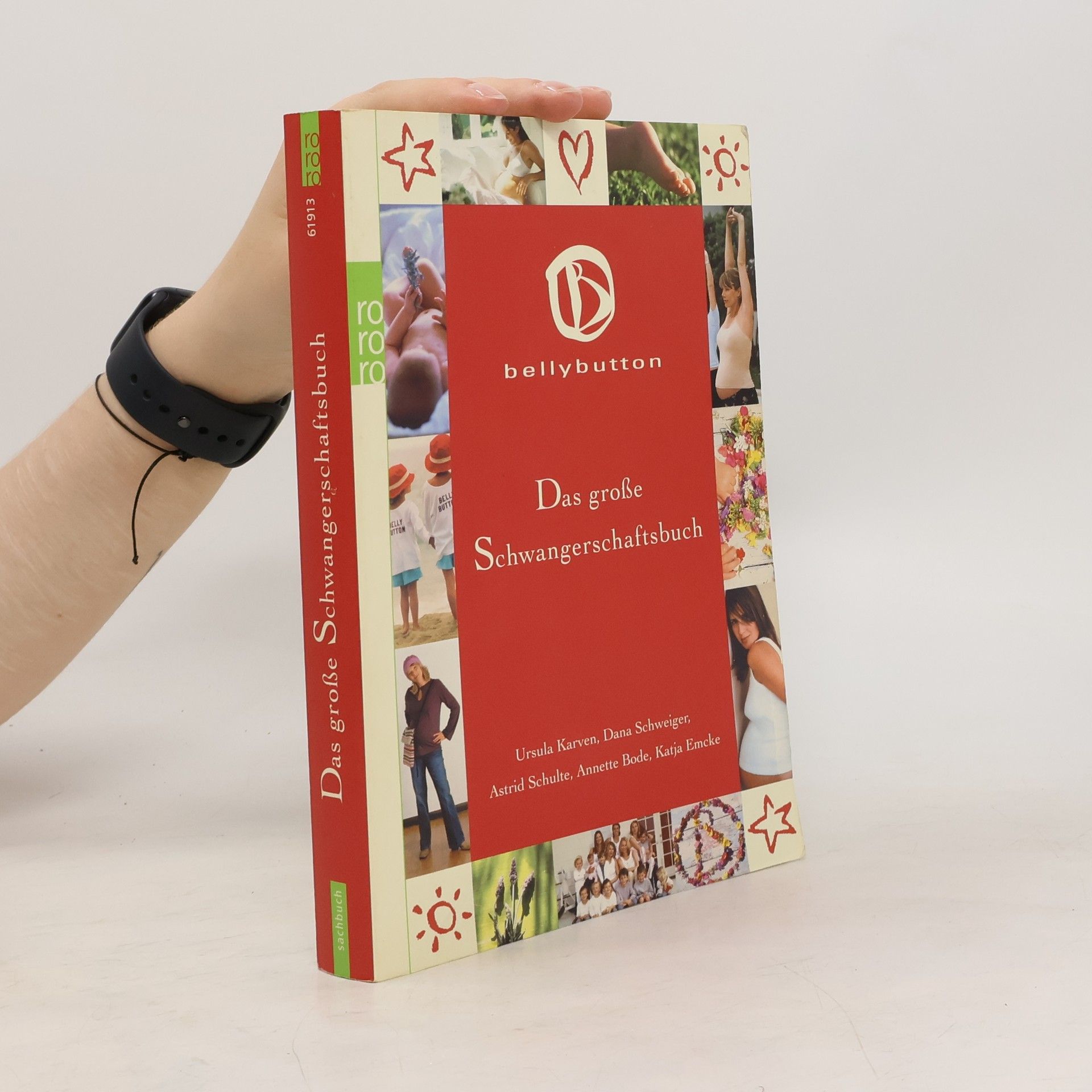 Autorenkollektiv Das große Schwangerschaftsbuch