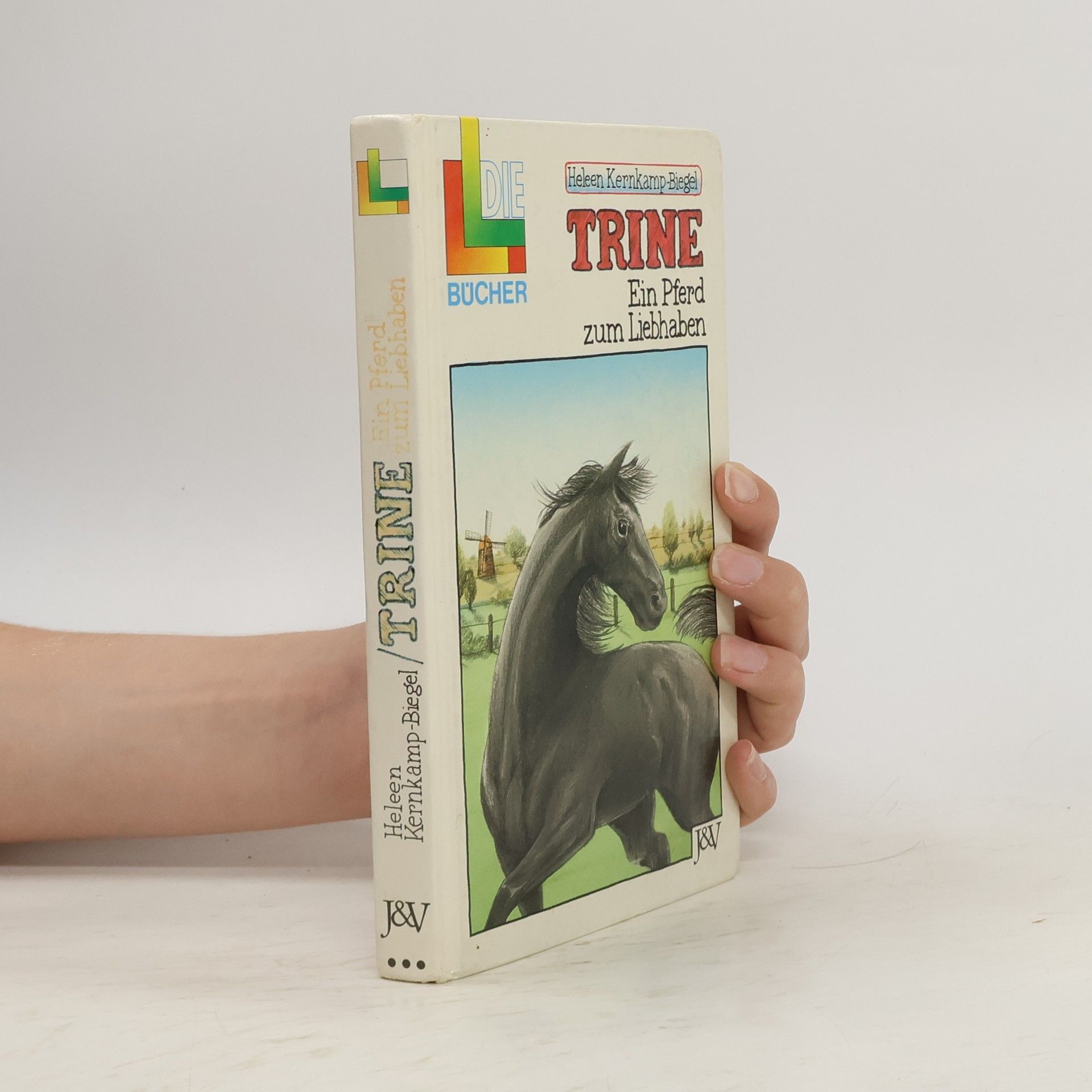 Heleen Kernkamp-Biegel Trine. Ein Pferd zum Liebhaben