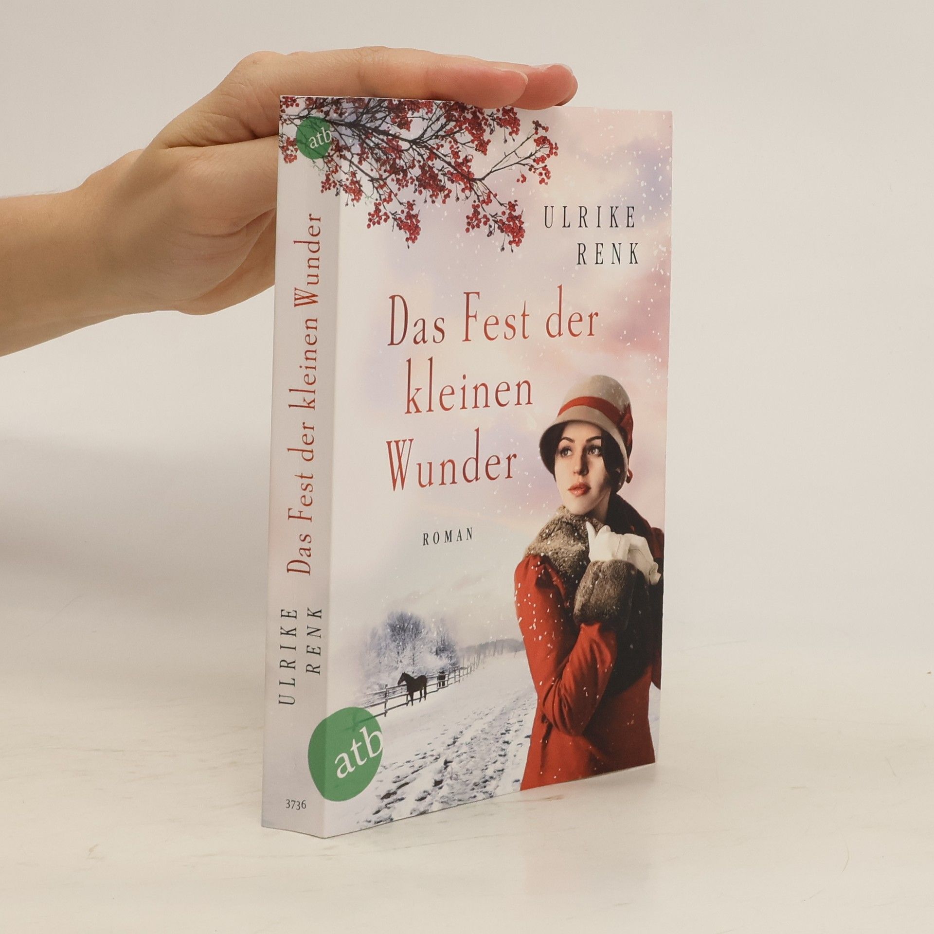 Ulrike Renk Das Fest der kleinen Wunder. Roman