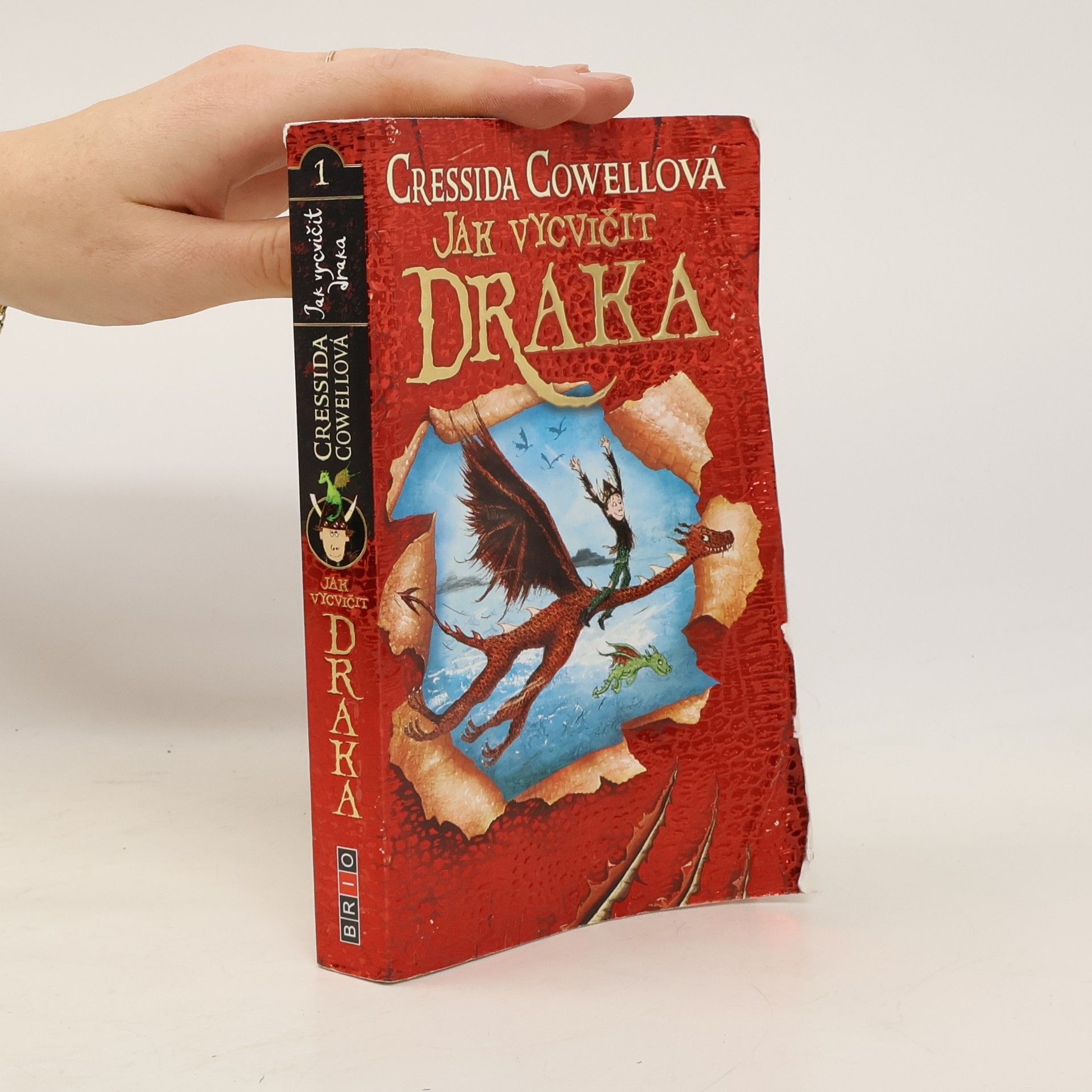Cressida Cowell Jak vycvičit draka