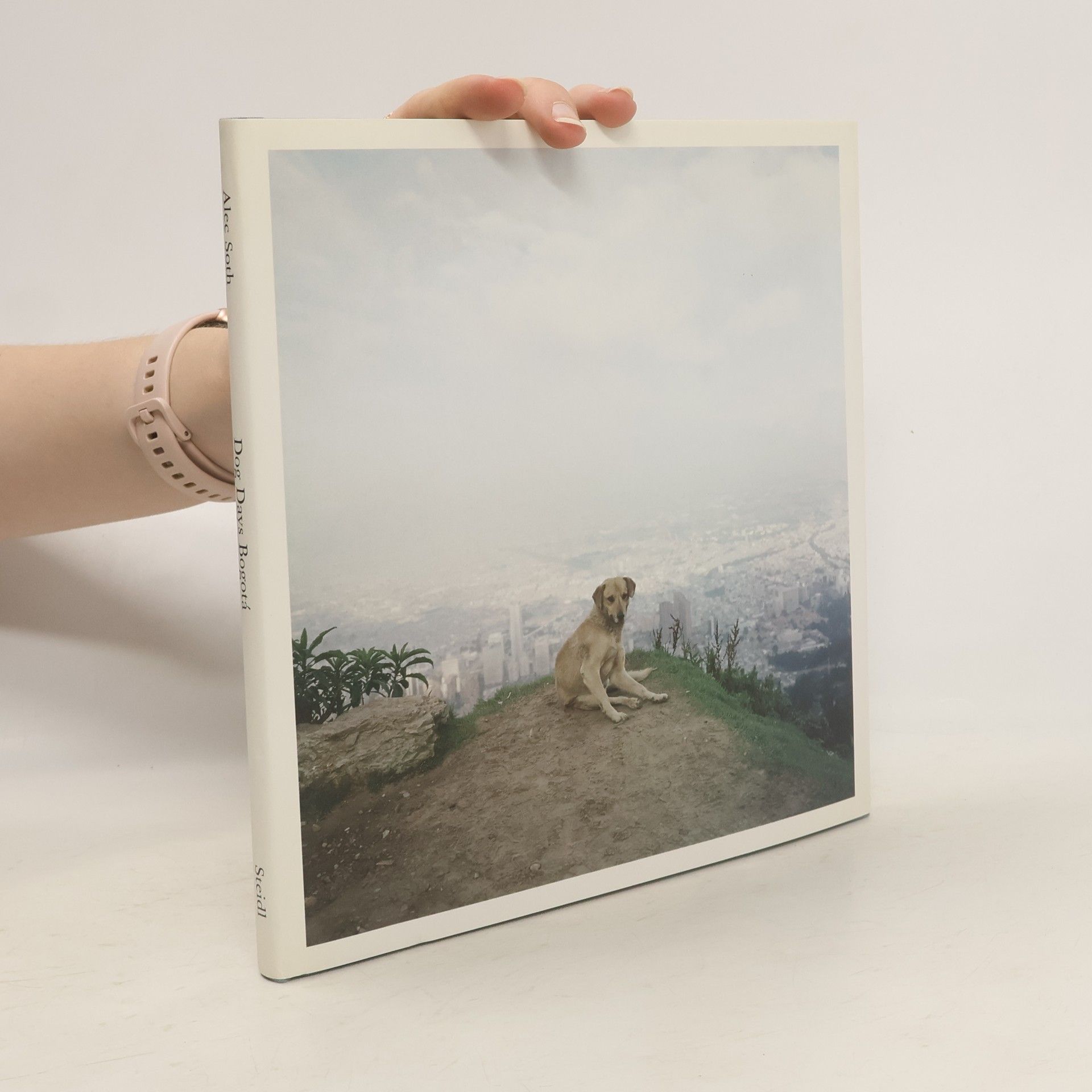 Alec Soth Dog Days, Bogotá