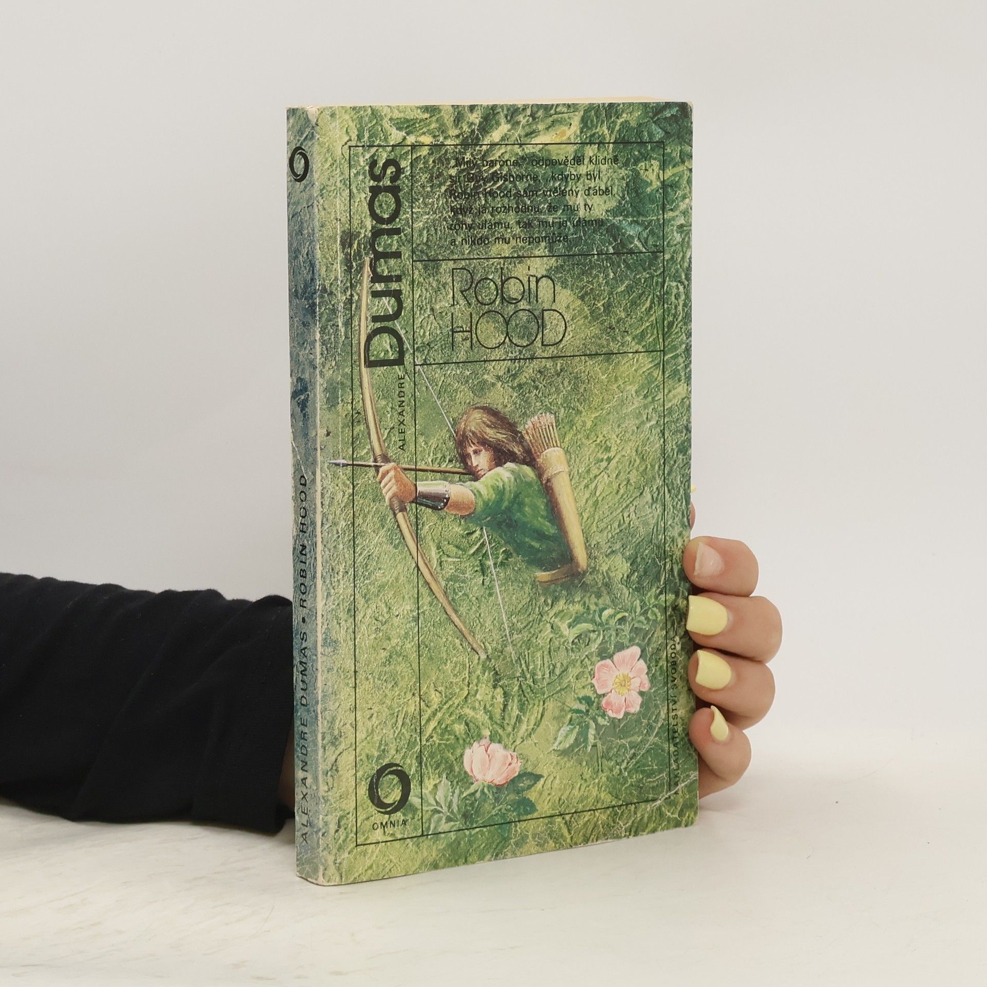 Alexandre Dumas Robin Hood