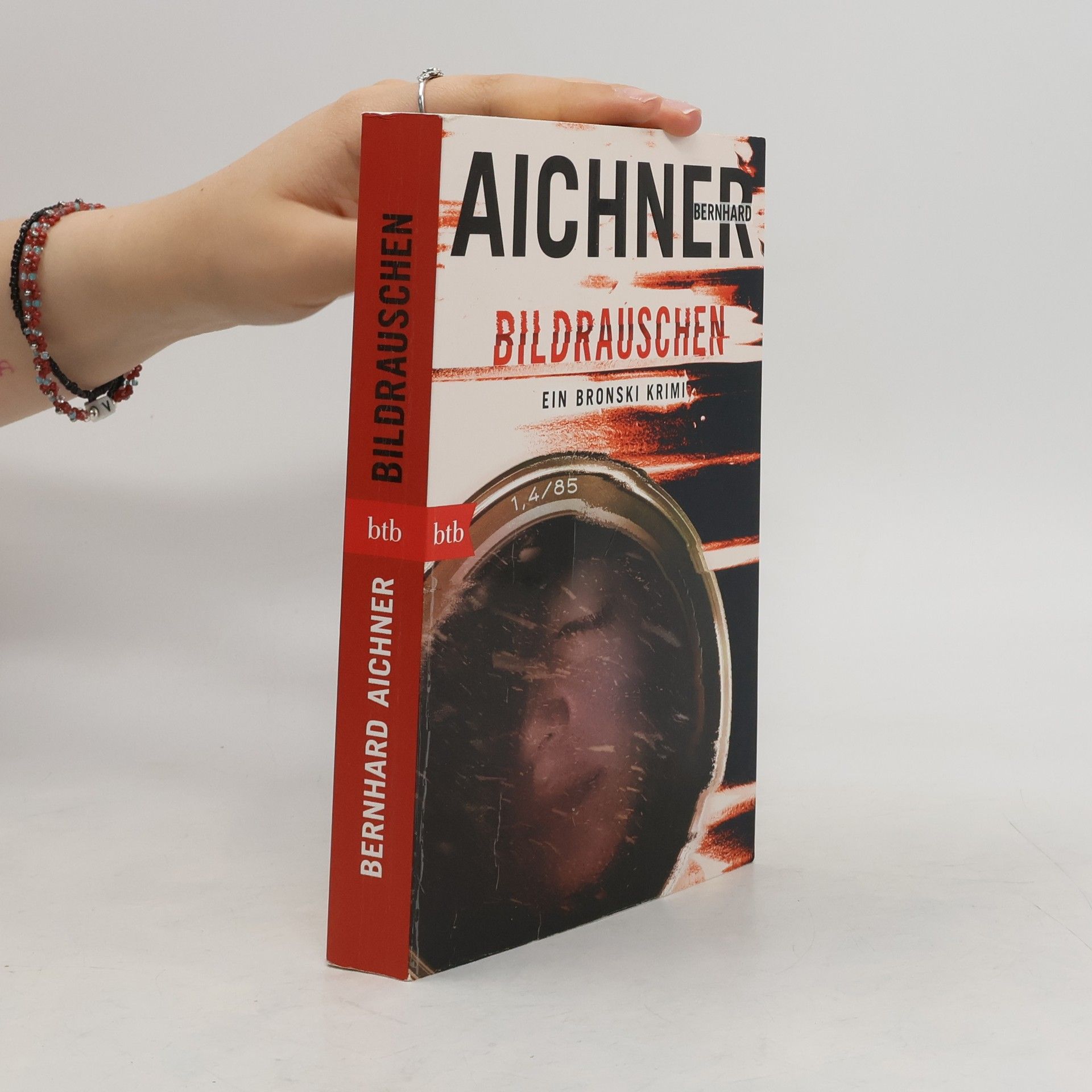 Bernhard Aichner Bildrauschen