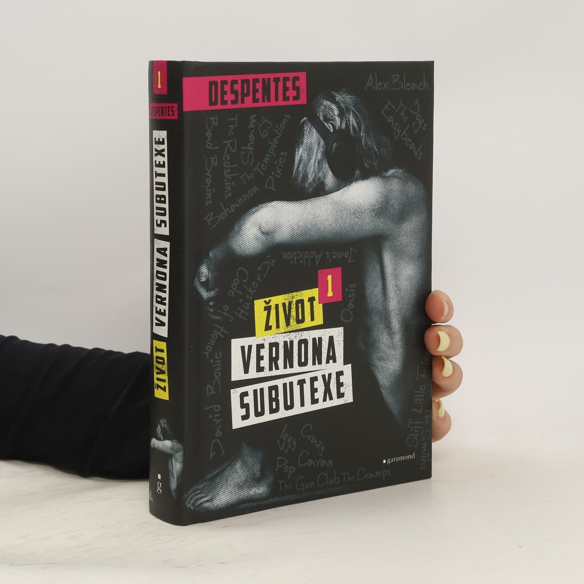 Virginie Despentes Život Vernona Subutexe. Díl 1.