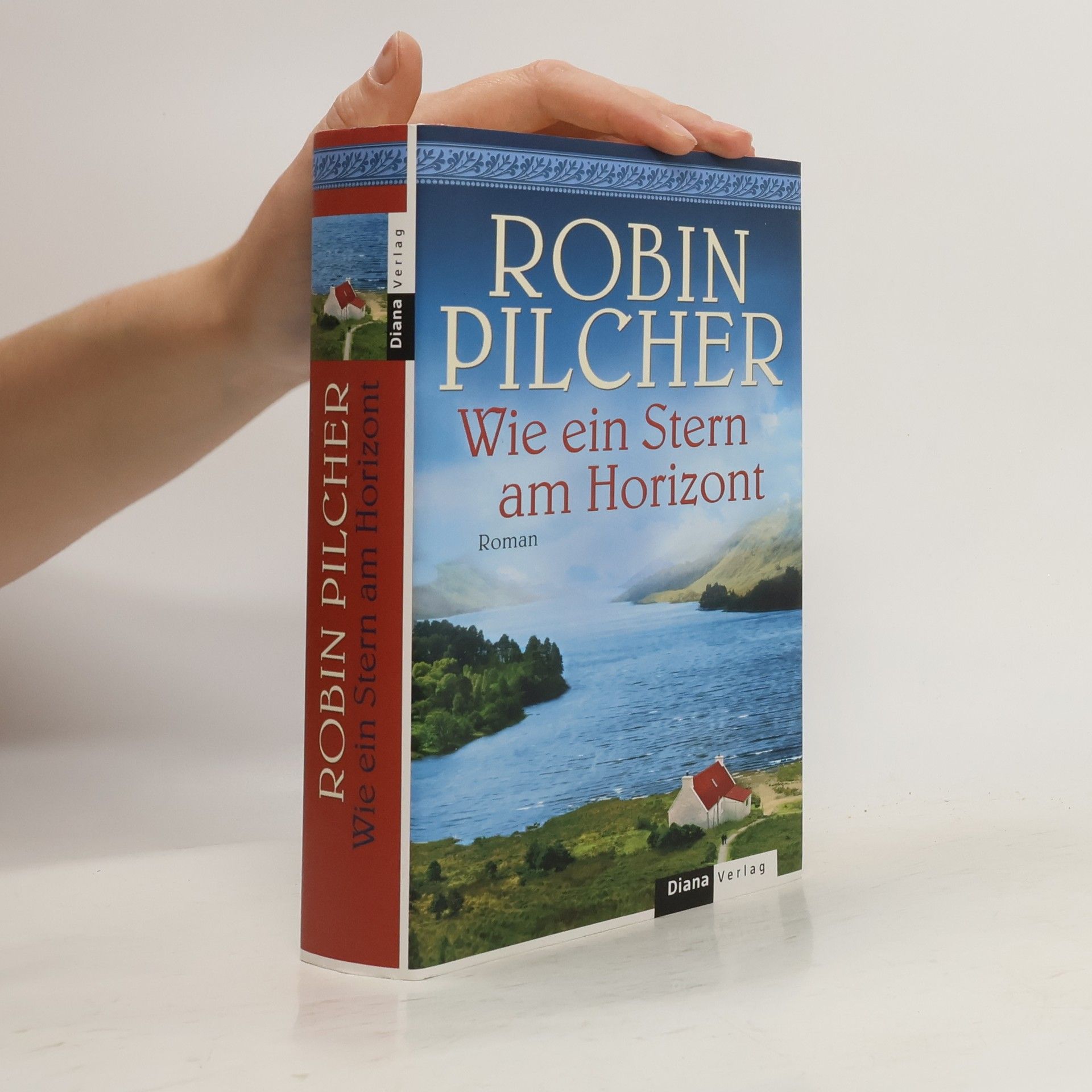 Robin Pilcher Wie ein Stern am Horizont