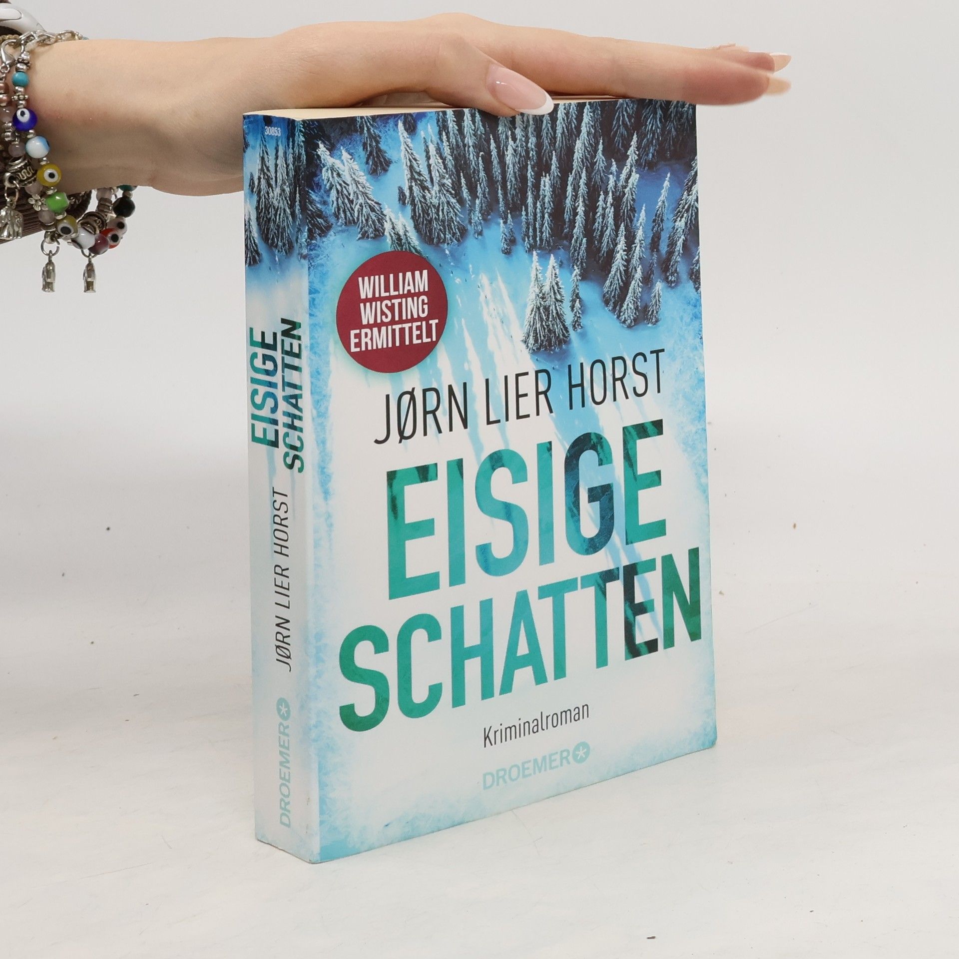 Jørn Lier Horst Eisige Schatten