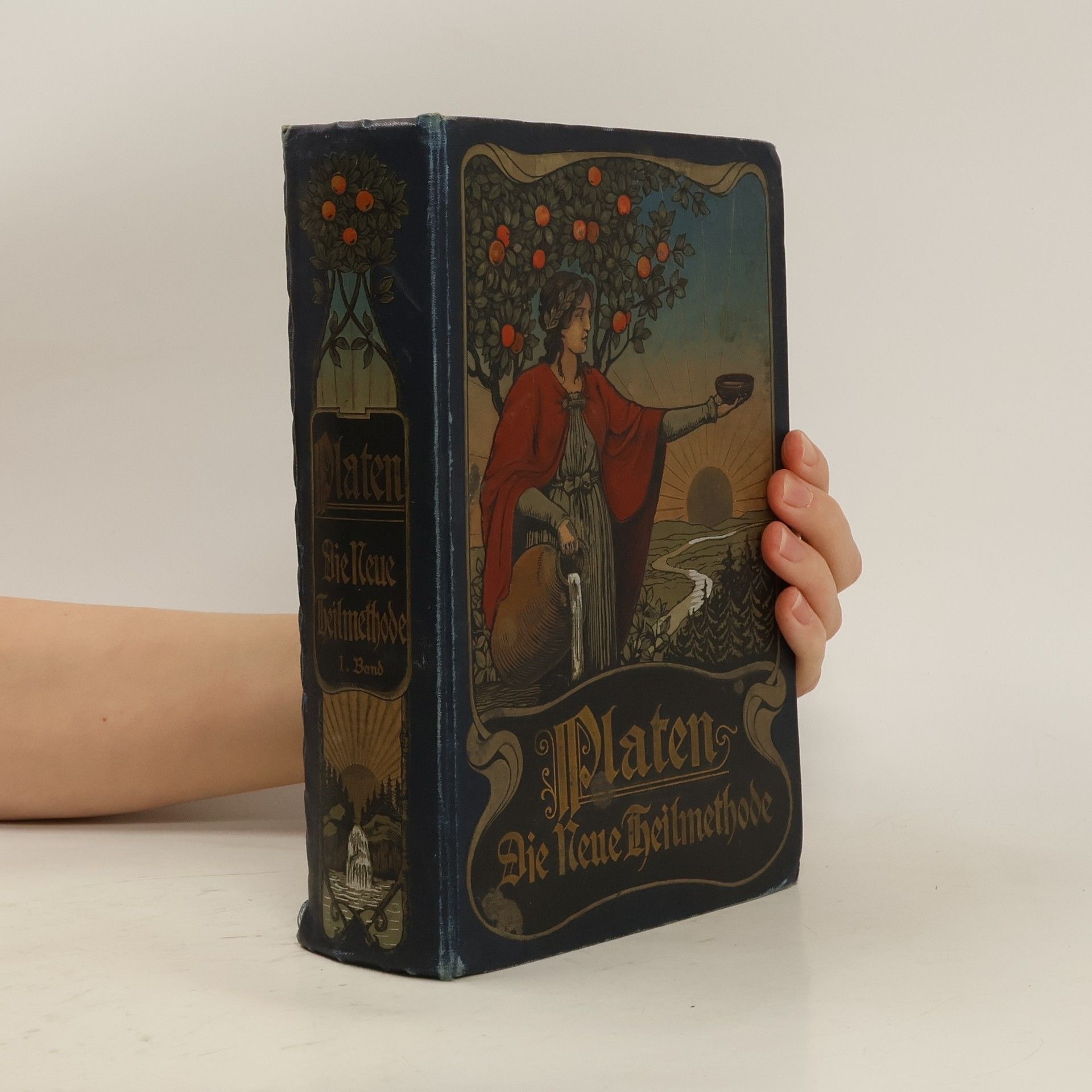 M. Platen Die Neue Heilmethode