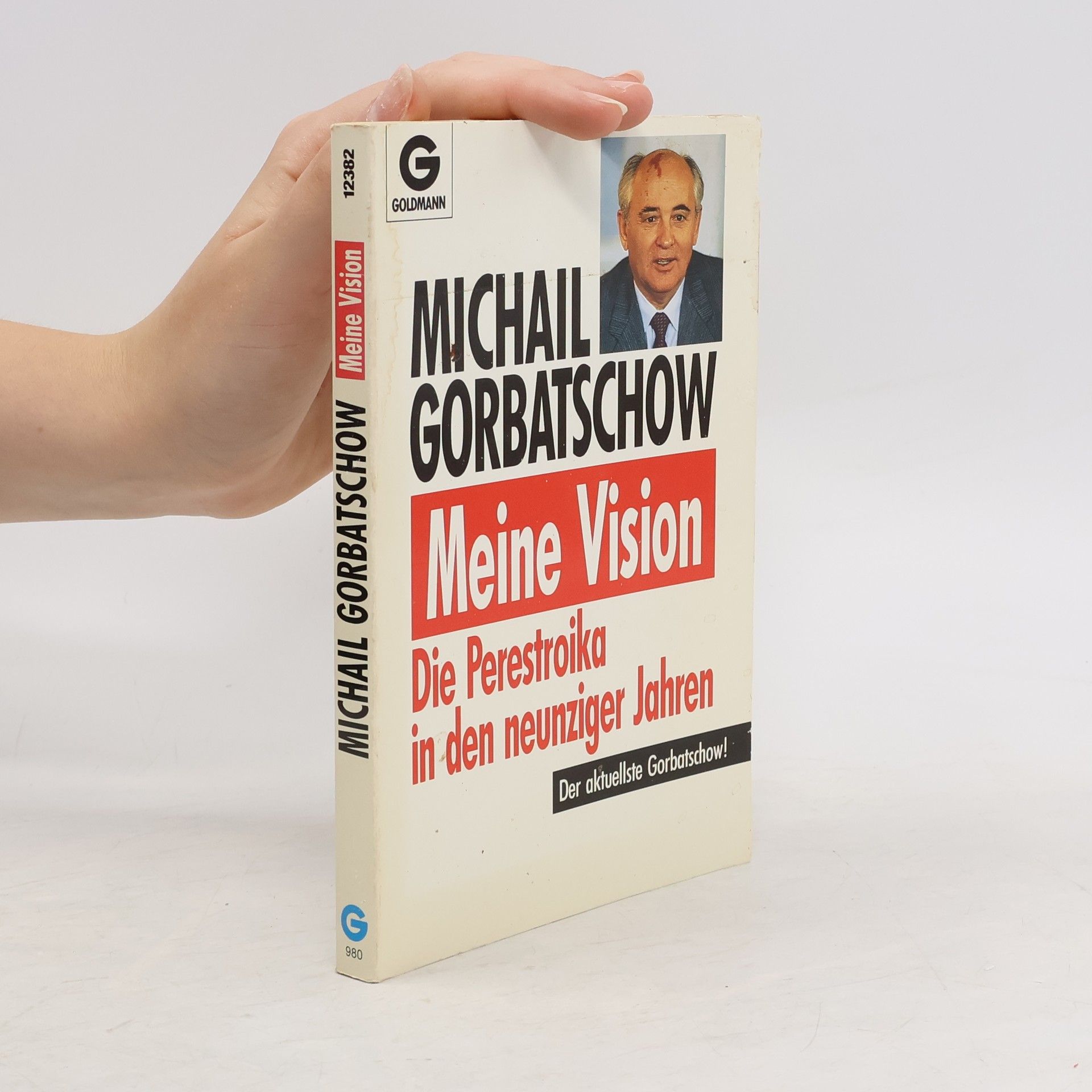Michail Sergejevič Gorbačev Meine Vision: Die Perestroika in den neunziger Jahren
