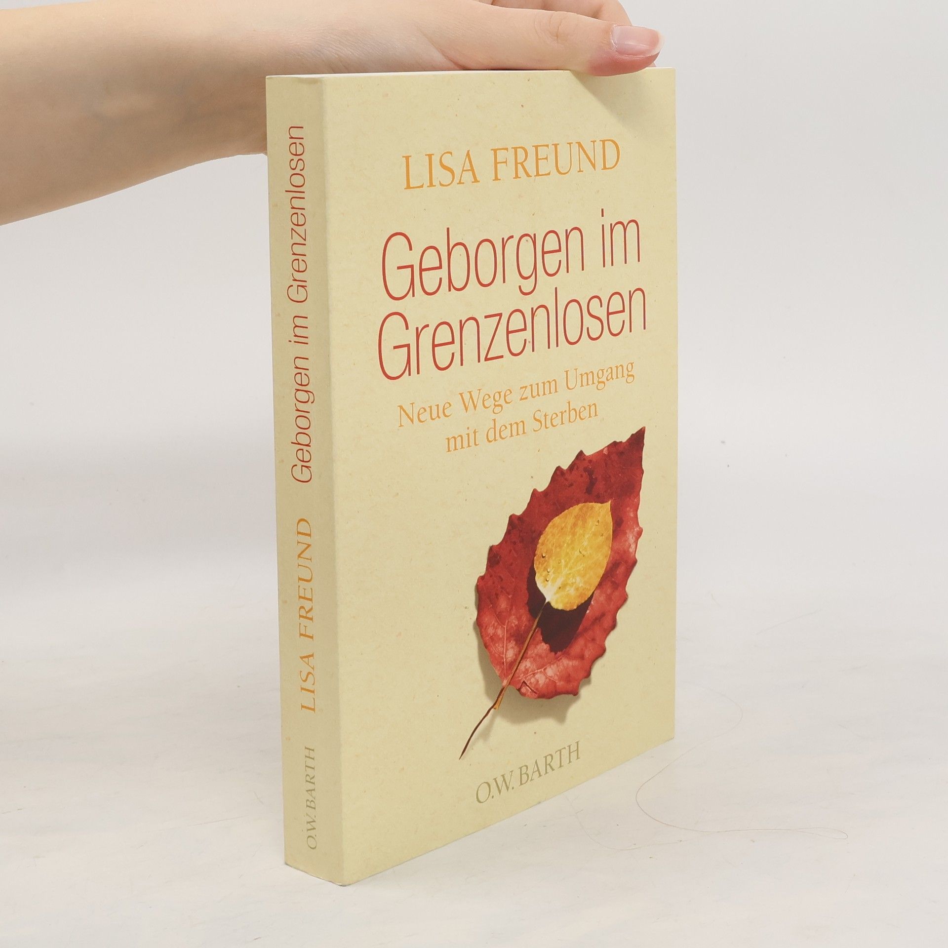 Autorenkollektiv Geborgen im Grenzenlosen