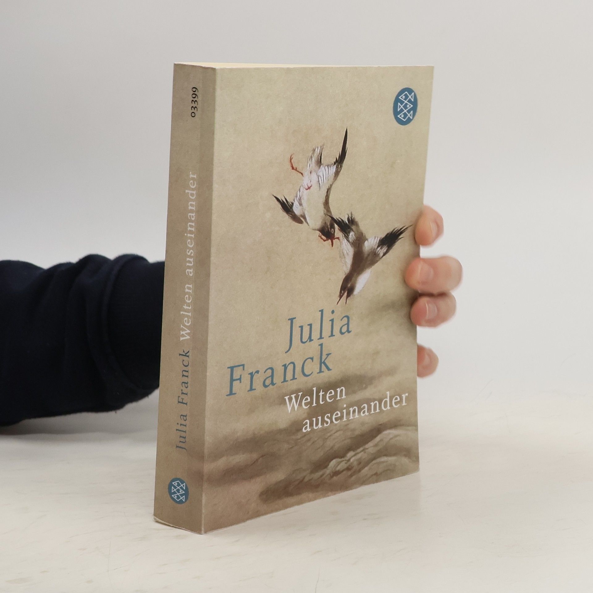 Julia Franck Welten auseinander