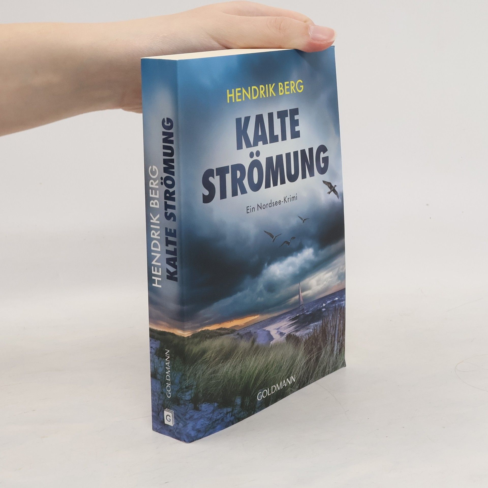 Hendrik Berg Kalte Strömung