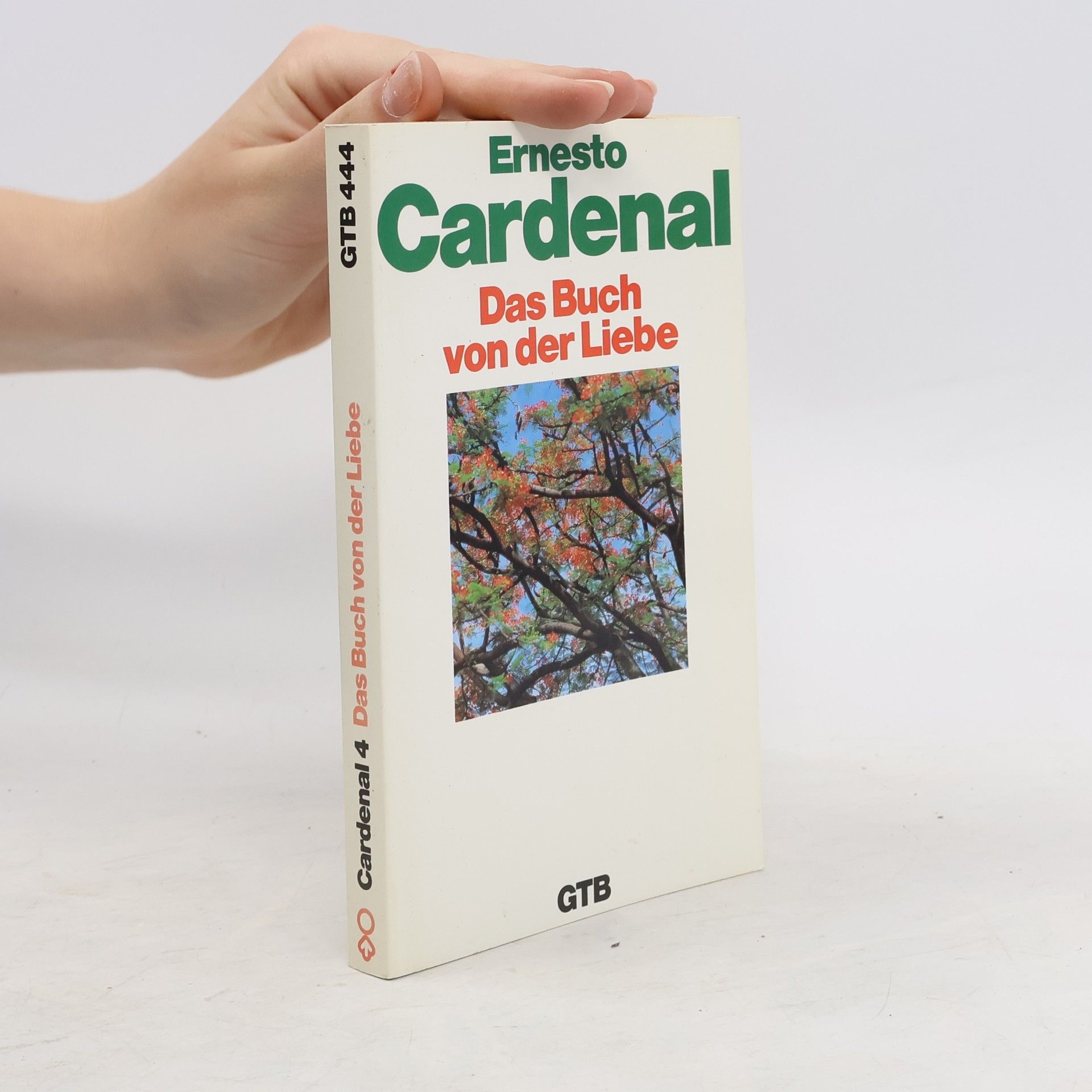 Ernesto Cardenal Das poetische Werk