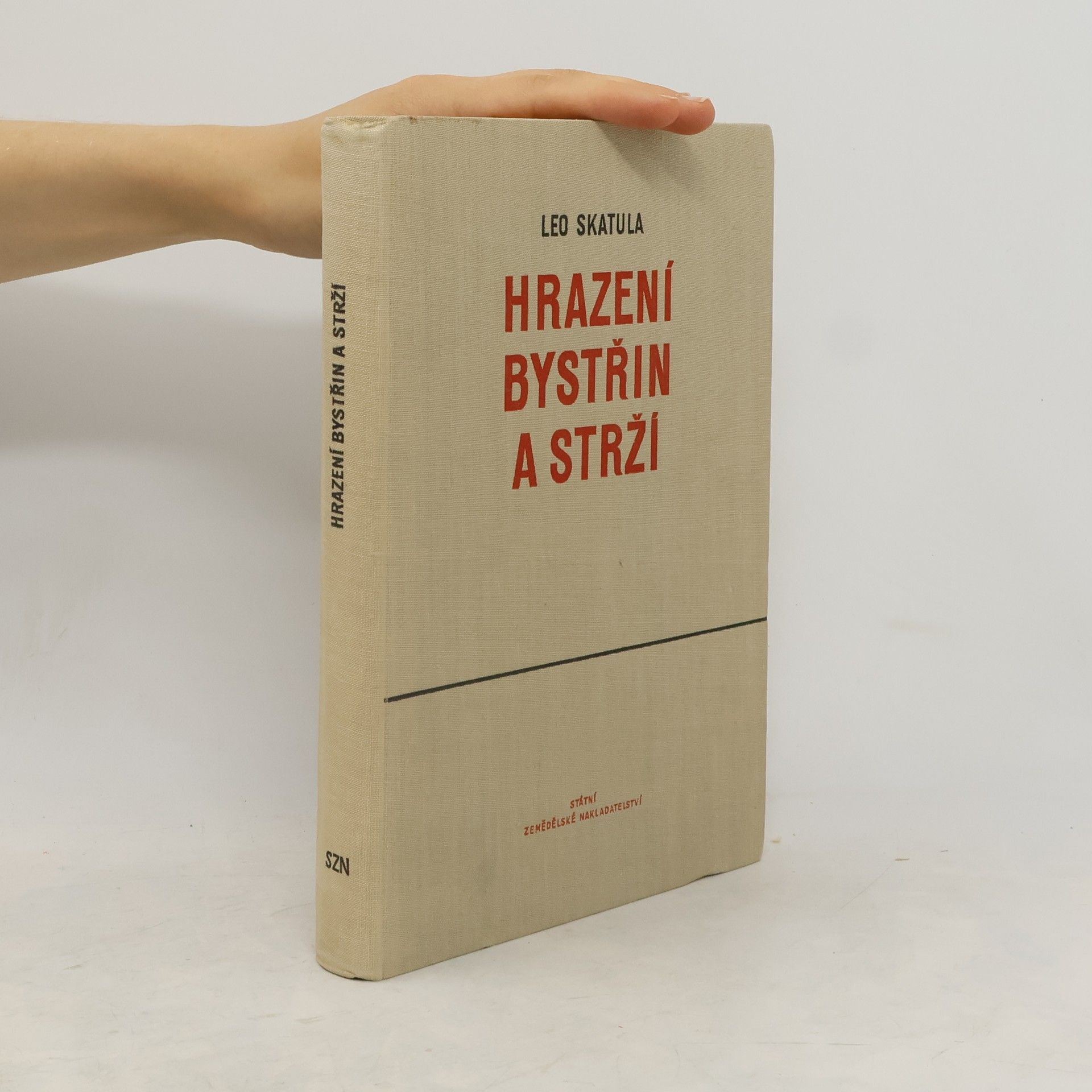 Leo Skatula Hrazení bystřin a strží