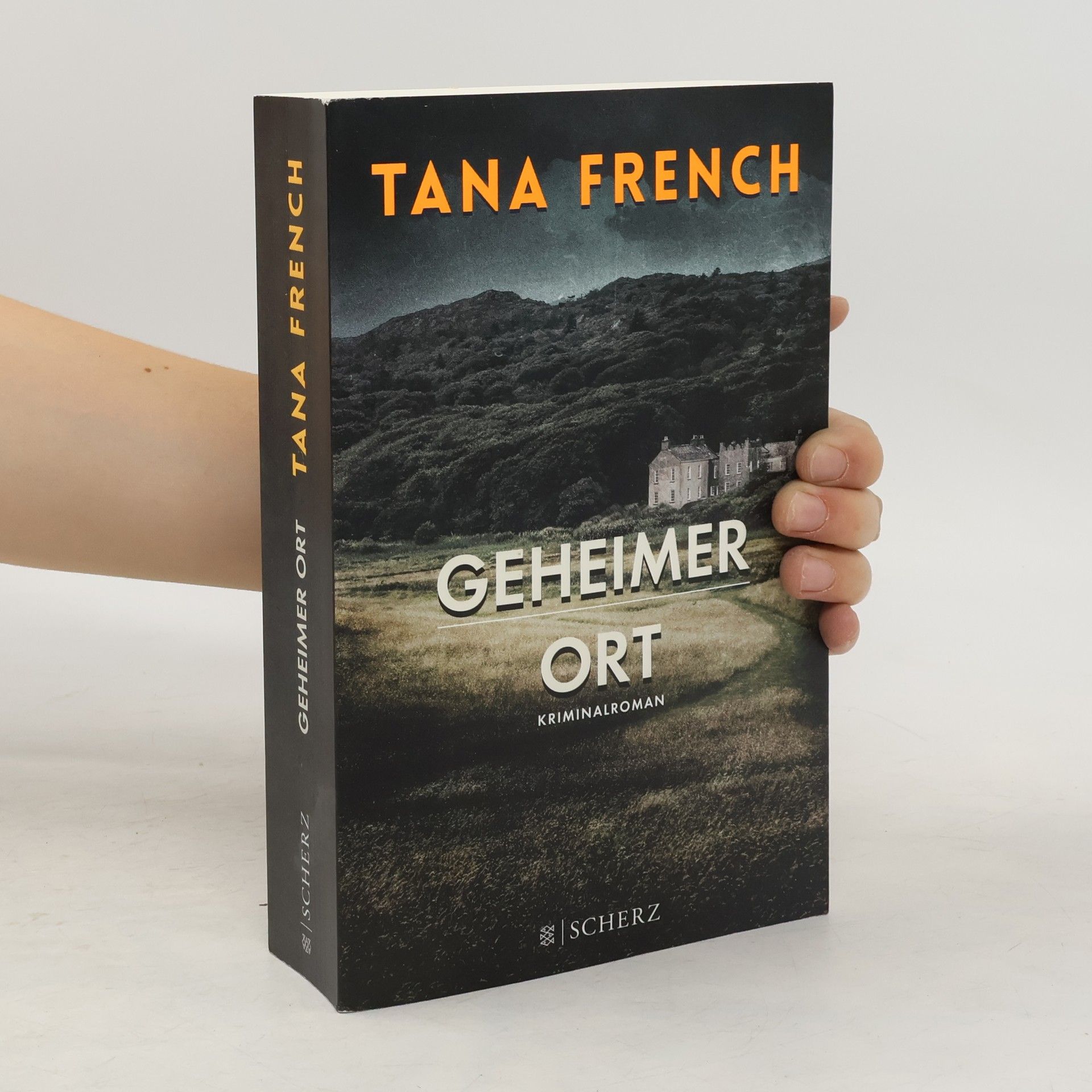 Tana French Geheimer Ort