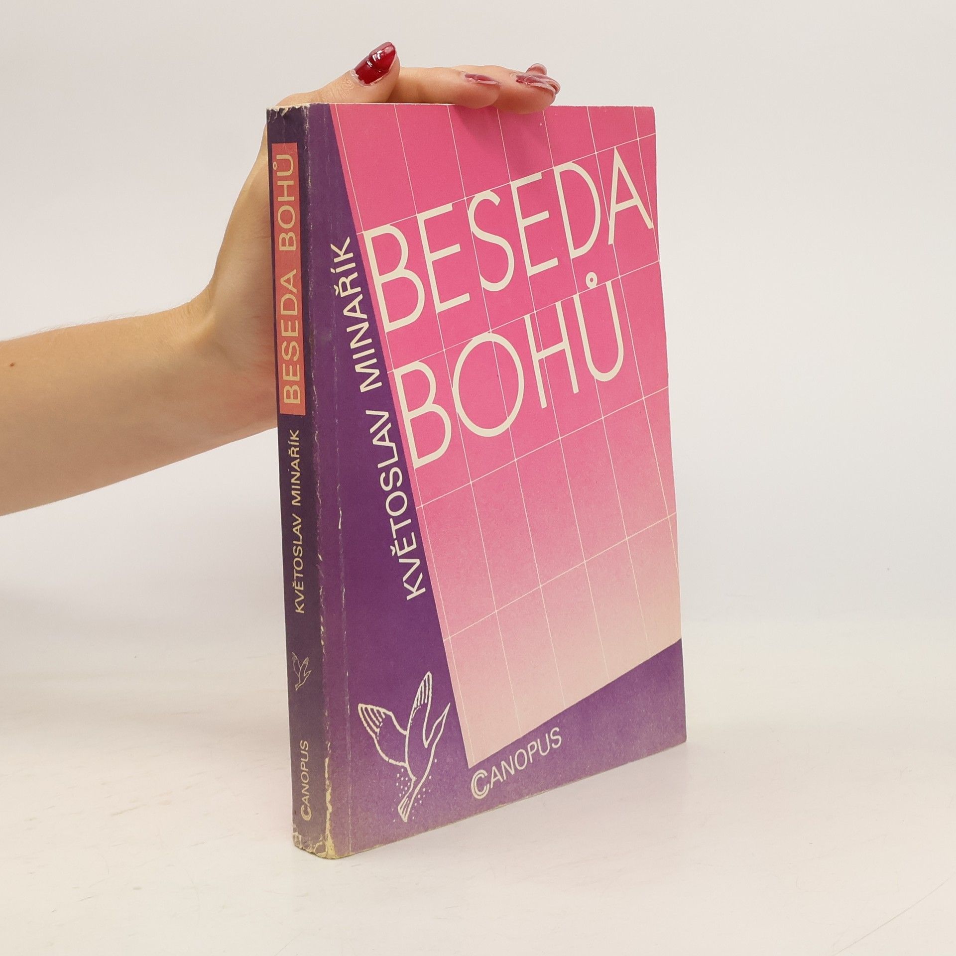 Květoslav Minařík Beseda bohů